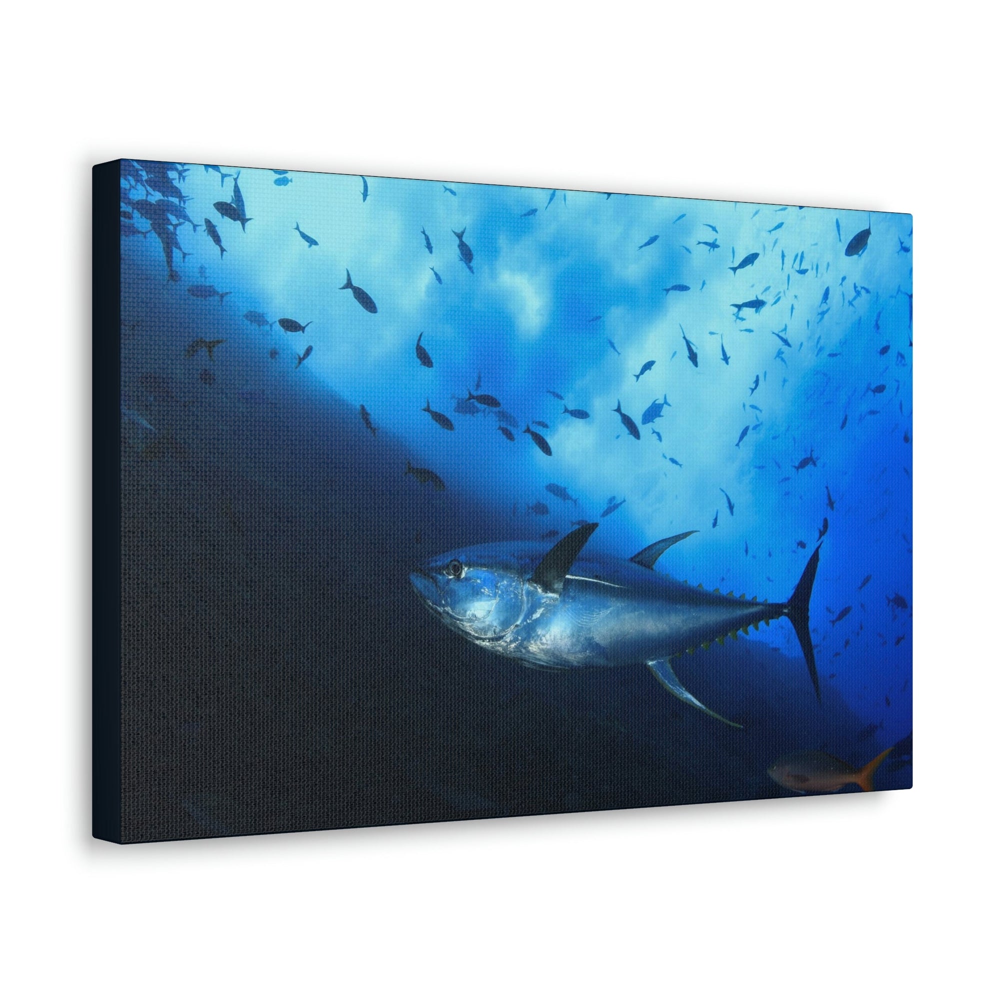 Scripture Walls Majestic Yellow Finned Tuna With Others in the Background Print Animal Wall Art Wildlife Canvas Prints Wall Art Ready to Hang Unframed-Express Your Love Gifts