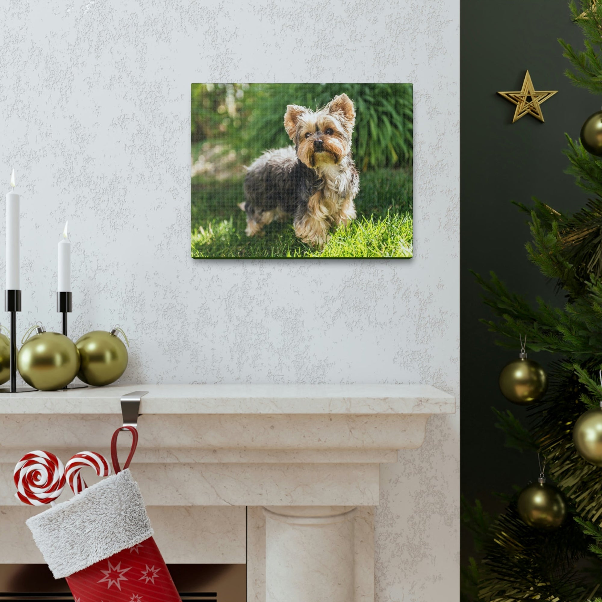 Scripture Walls Majestic Yorkshire Terrier Art Majestic Yorkshire Terrier Print Animal Wall Art Wildlife Canvas Prints Wall Art Ready to Hang Unframed-Express Your Love Gifts