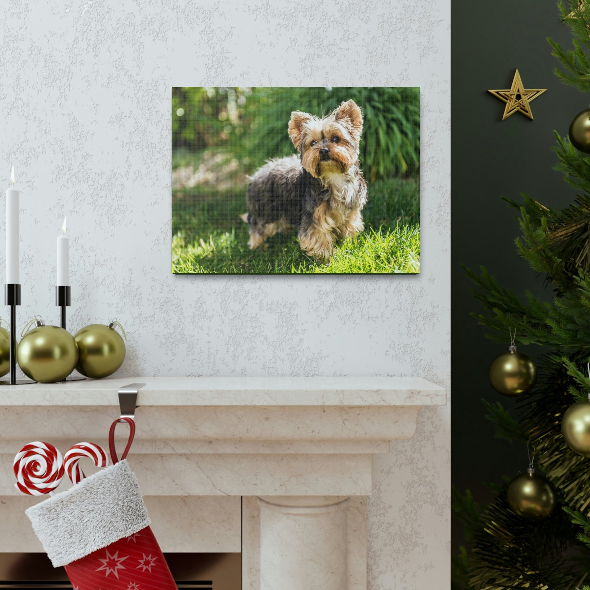 Scripture Walls Majestic Yorkshire Terrier Art Majestic Yorkshire Terrier Print Animal Wall Art Wildlife Canvas Prints Wall Art Ready to Hang Unframed-Express Your Love Gifts