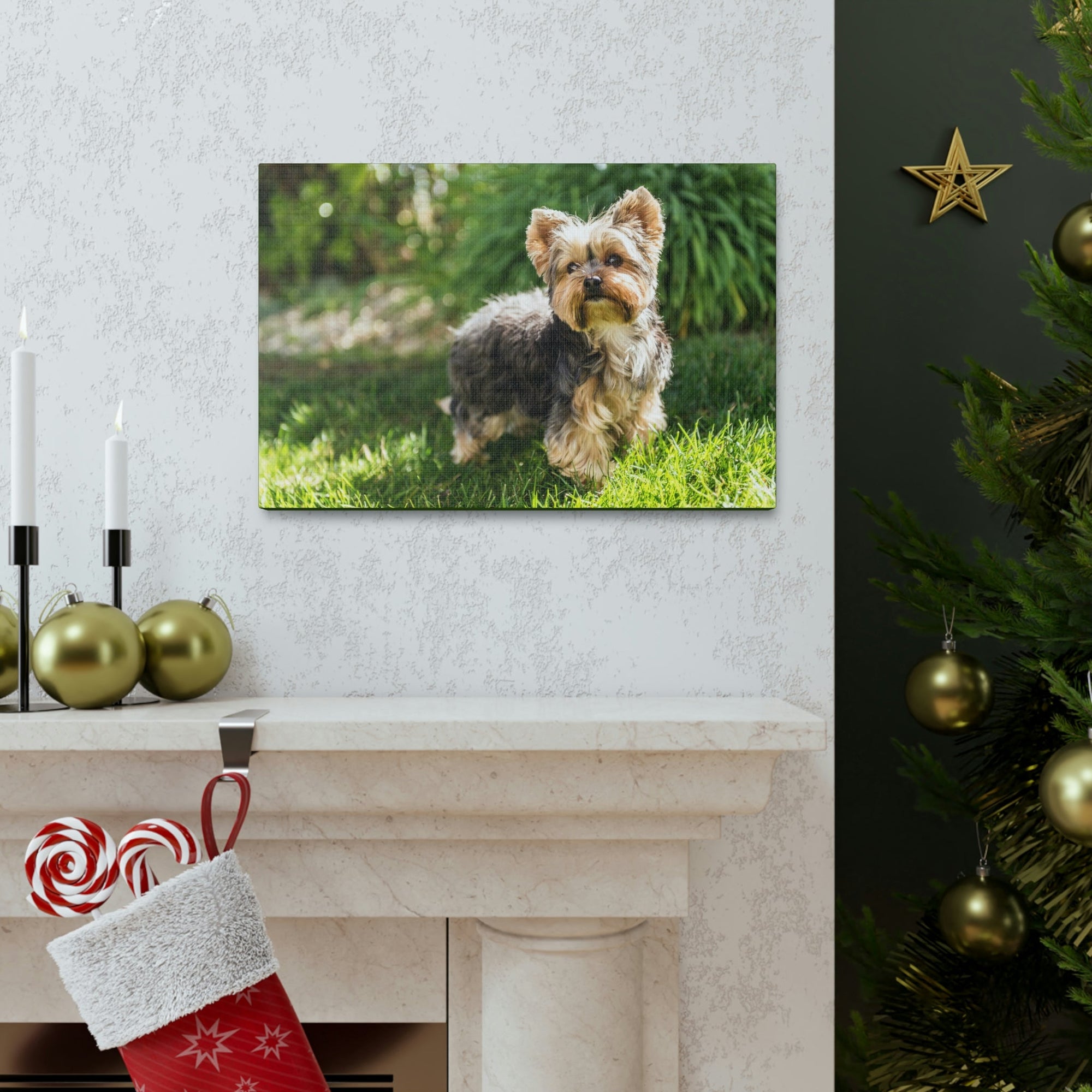 Scripture Walls Majestic Yorkshire Terrier Art Majestic Yorkshire Terrier Print Animal Wall Art Wildlife Canvas Prints Wall Art Ready to Hang Unframed-Express Your Love Gifts