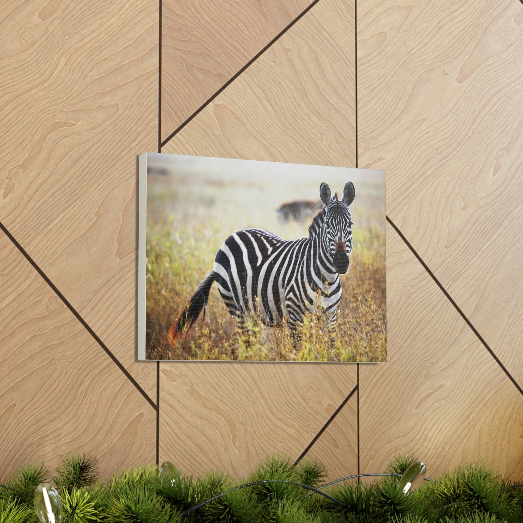 Scripture Walls Majestic Zebra Art Majestic Zebra Print Animal Wall Art Wildlife Canvas Prints Wall Art Ready to Hang Unframed-Express Your Love Gifts