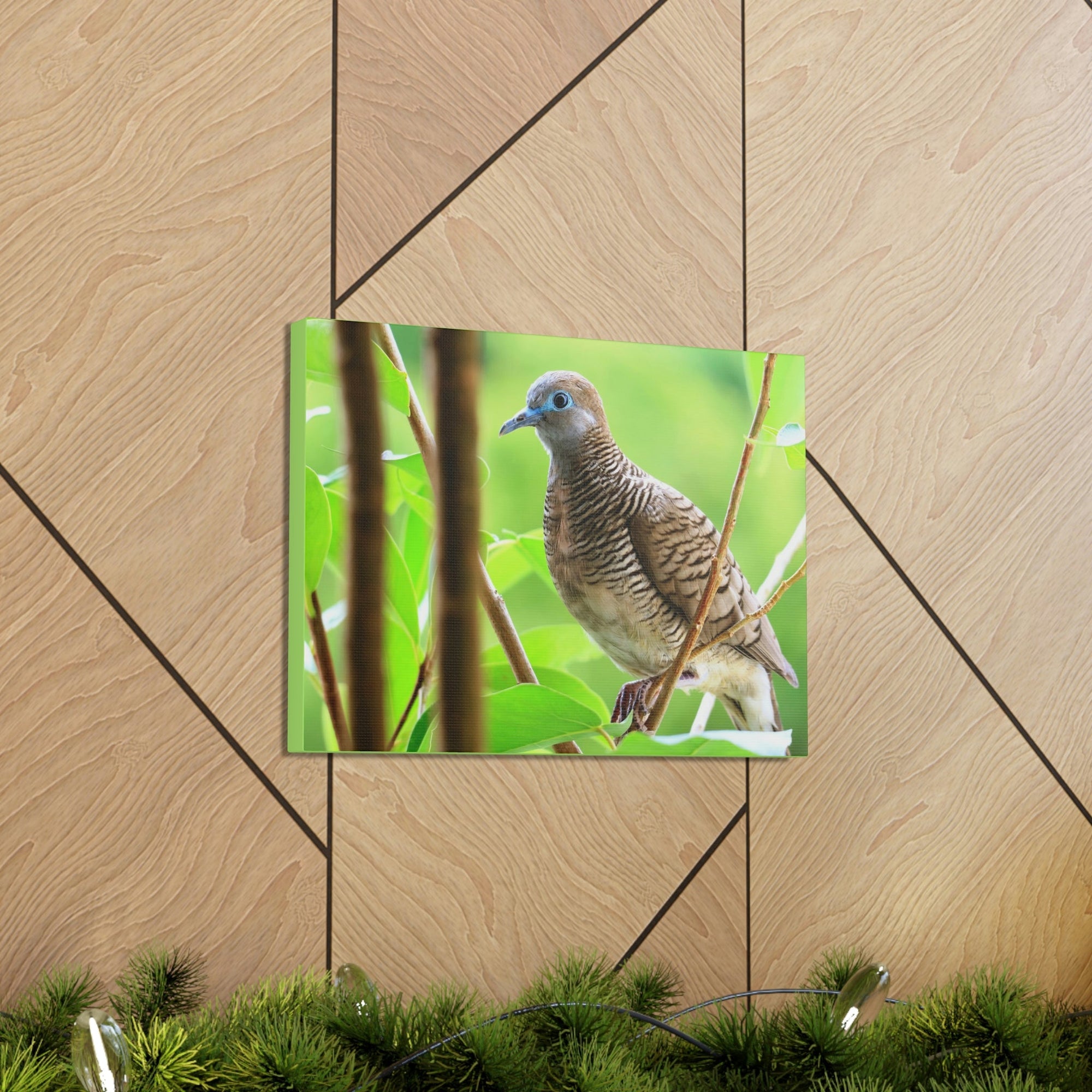 Scripture Walls Majestic Zebra Dove Art Majestic Zebra Dove Print Animal Wall Art Wildlife Canvas Prints Wall Art Ready to Hang Unframed-Express Your Love Gifts