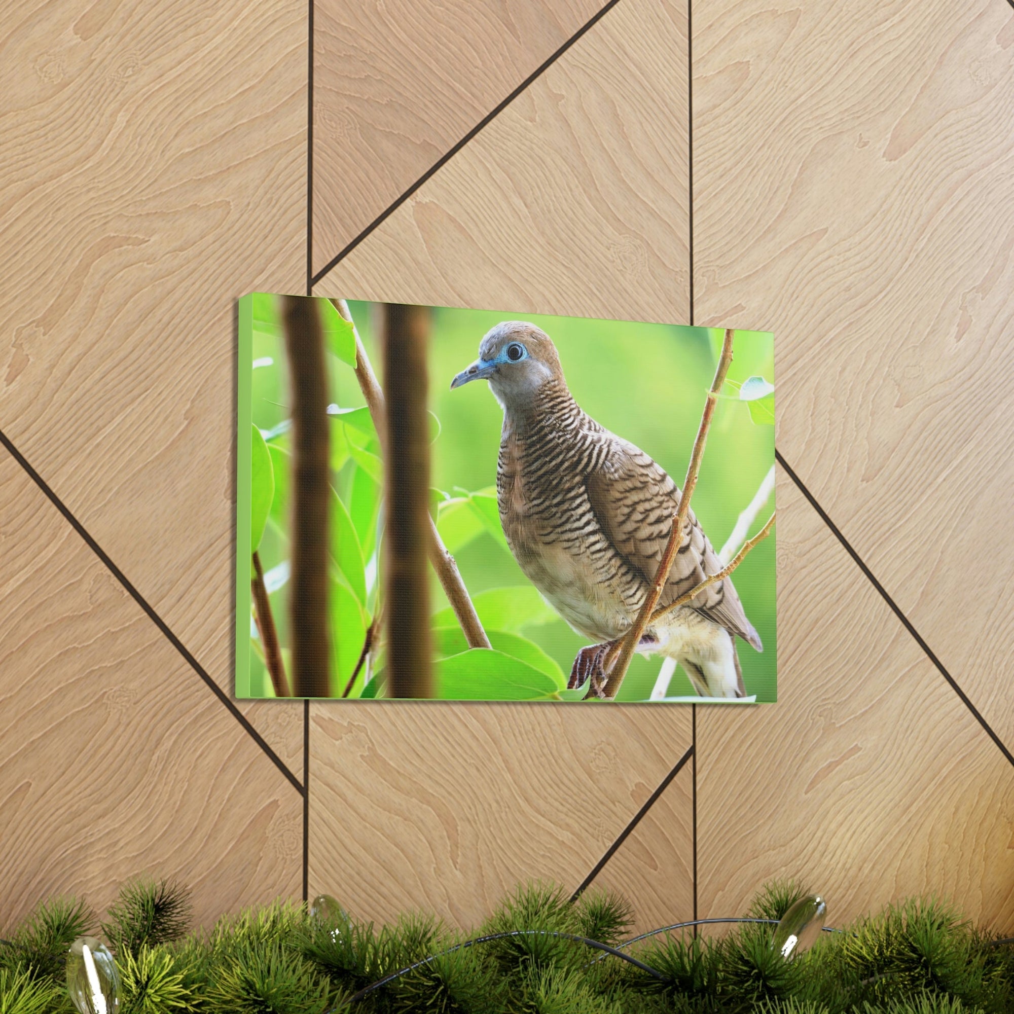 Scripture Walls Majestic Zebra Dove Art Majestic Zebra Dove Print Animal Wall Art Wildlife Canvas Prints Wall Art Ready to Hang Unframed-Express Your Love Gifts