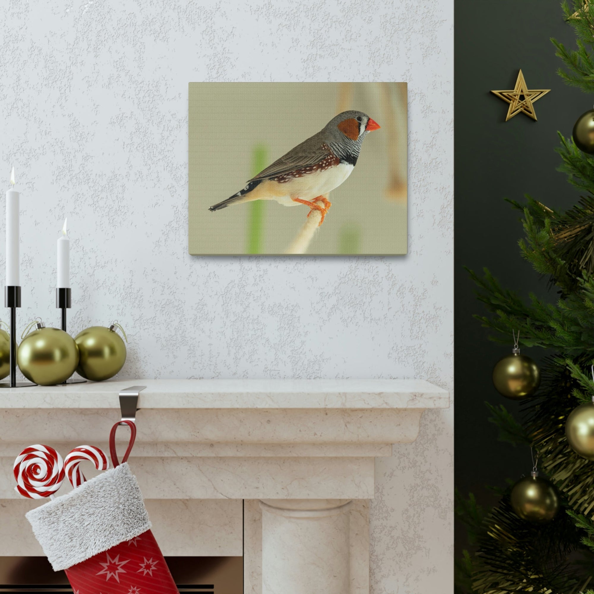 Scripture Walls Majestic Zebra Finch Art Majestic Zebra Finch Print Animal Wall Art Wildlife Canvas Prints Wall Art Ready to Hang Unframed-Express Your Love Gifts