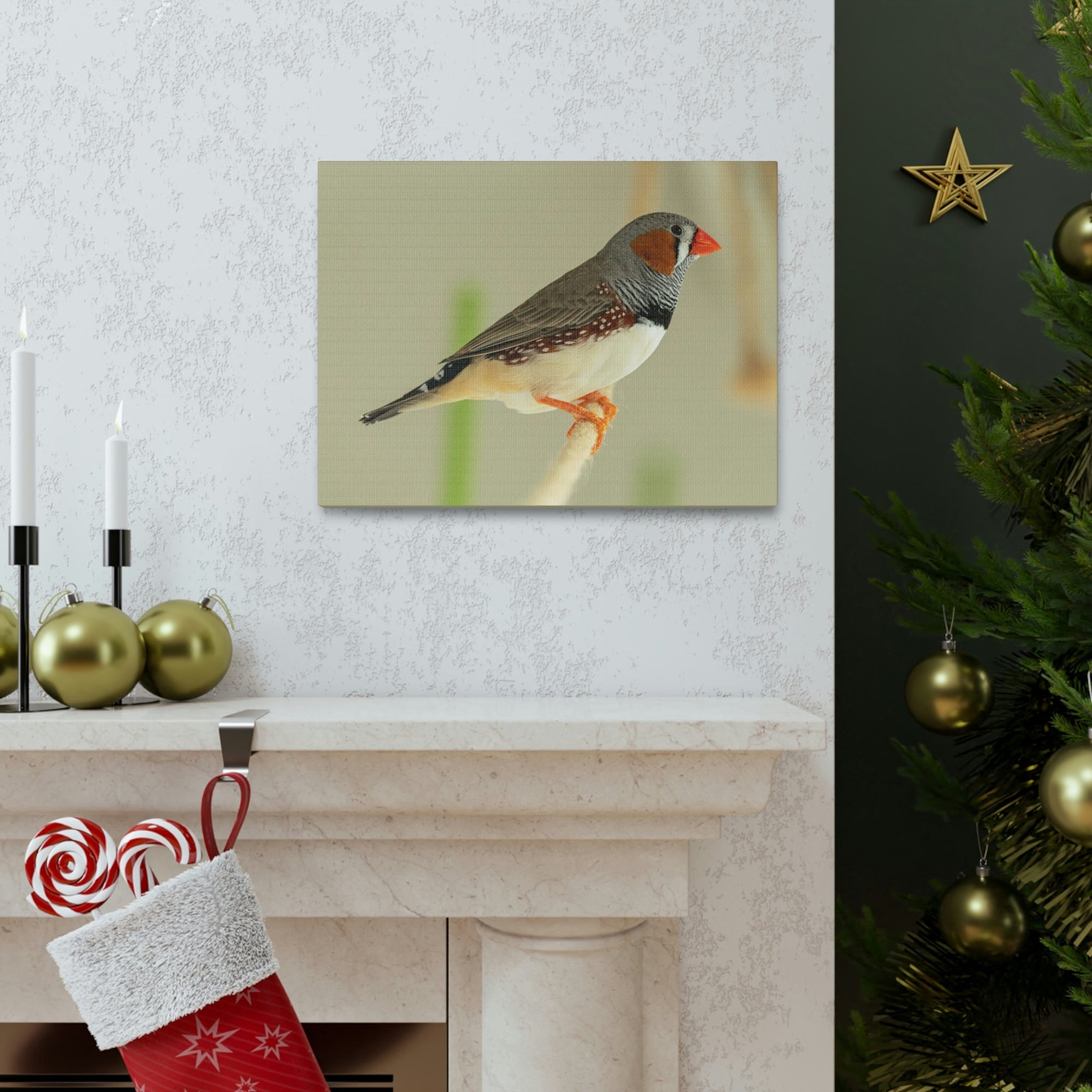 Scripture Walls Majestic Zebra Finch Art Majestic Zebra Finch Print Animal Wall Art Wildlife Canvas Prints Wall Art Ready to Hang Unframed-Express Your Love Gifts