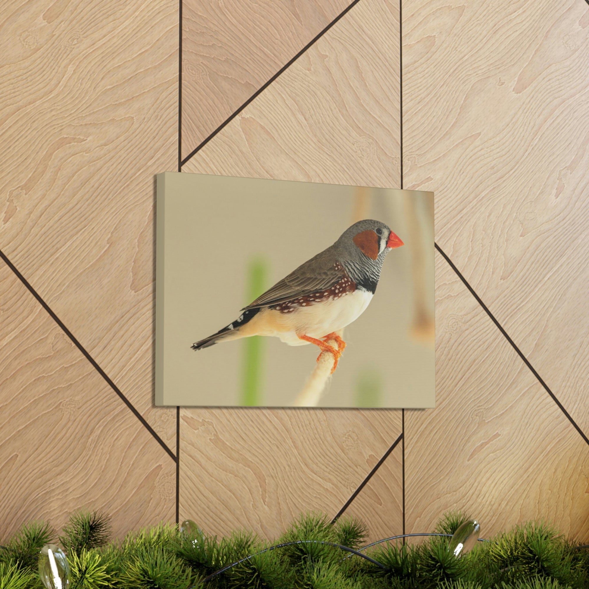 Scripture Walls Majestic Zebra Finch Art Majestic Zebra Finch Print Animal Wall Art Wildlife Canvas Prints Wall Art Ready to Hang Unframed-Express Your Love Gifts