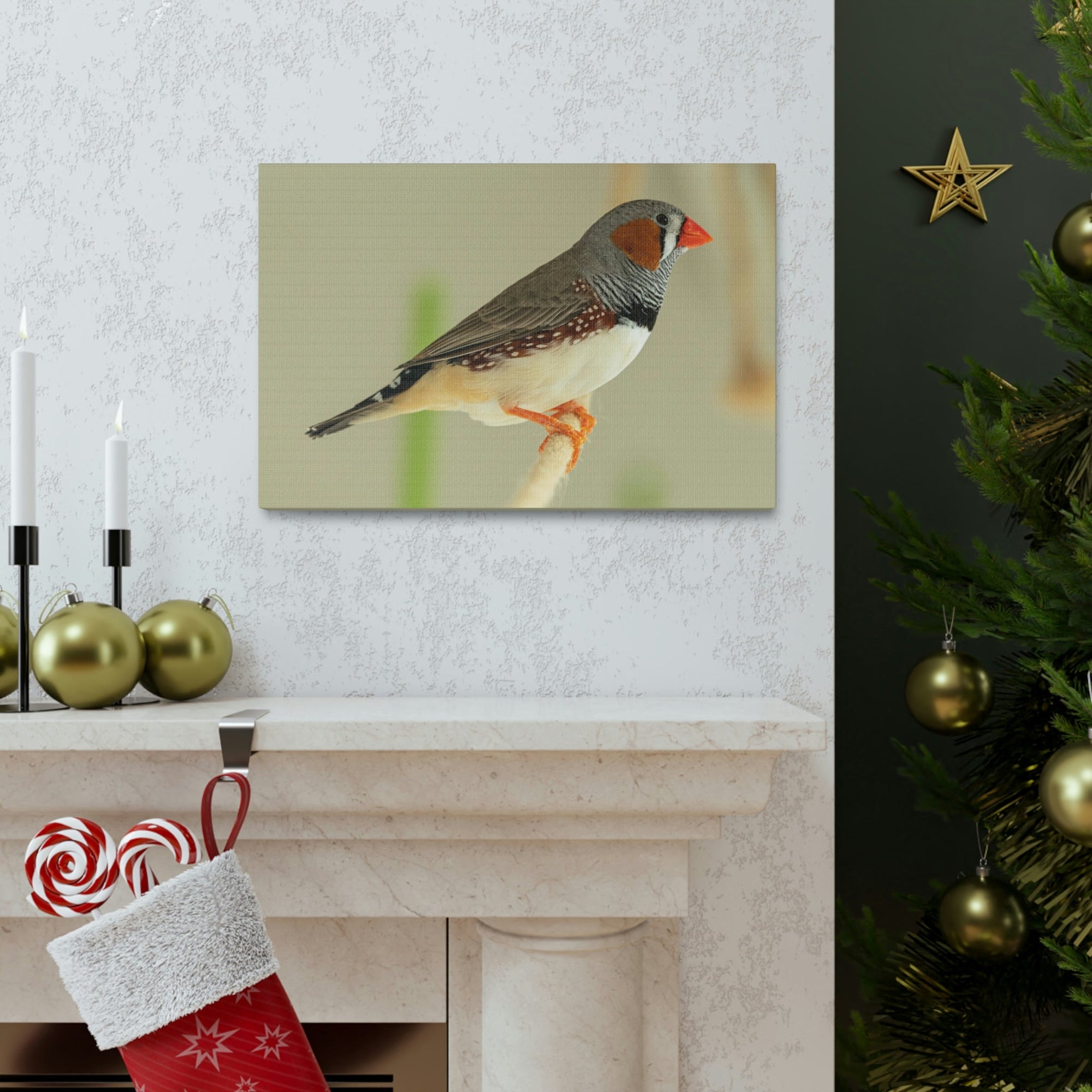 Scripture Walls Majestic Zebra Finch Art Majestic Zebra Finch Print Animal Wall Art Wildlife Canvas Prints Wall Art Ready to Hang Unframed-Express Your Love Gifts