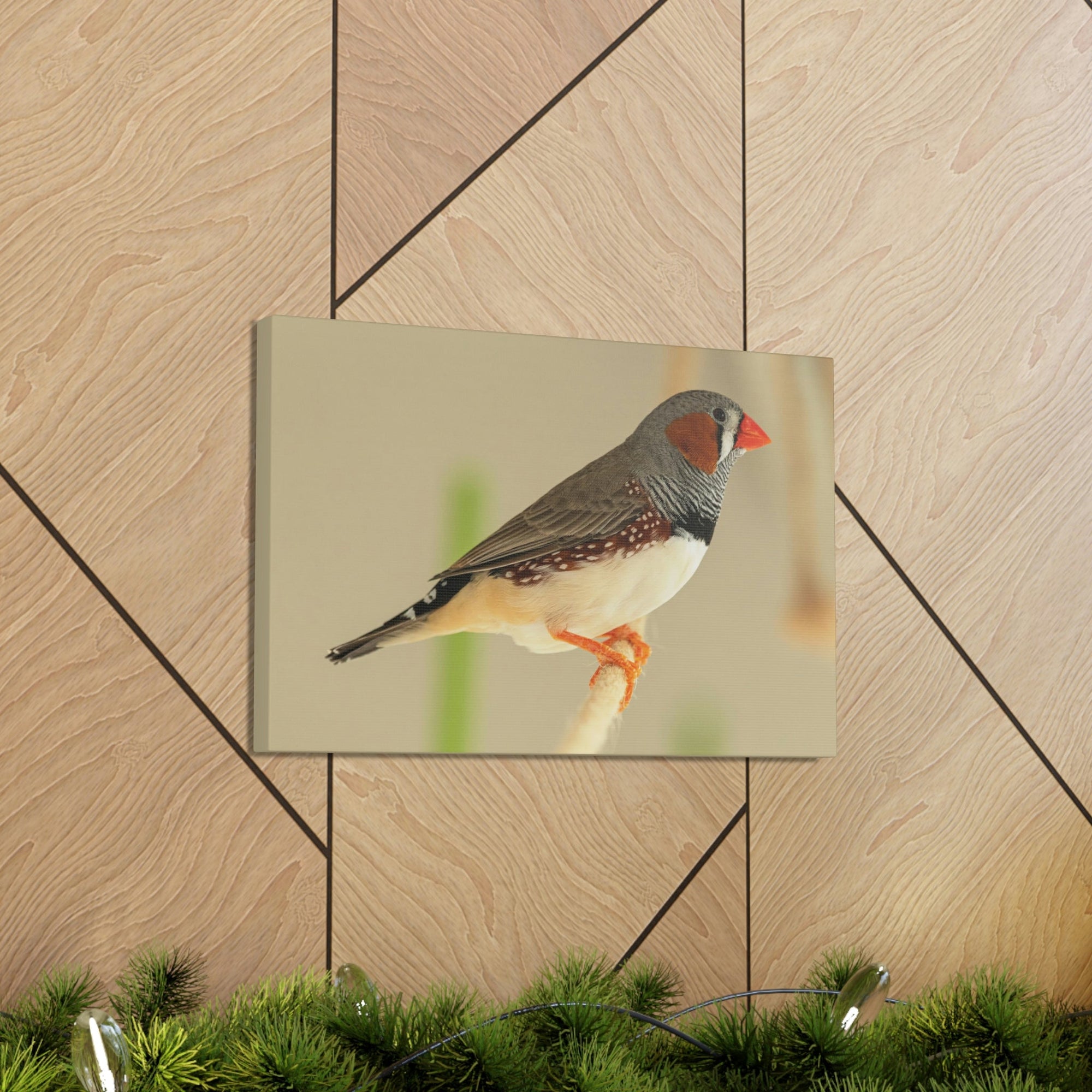 Scripture Walls Majestic Zebra Finch Art Majestic Zebra Finch Print Animal Wall Art Wildlife Canvas Prints Wall Art Ready to Hang Unframed-Express Your Love Gifts