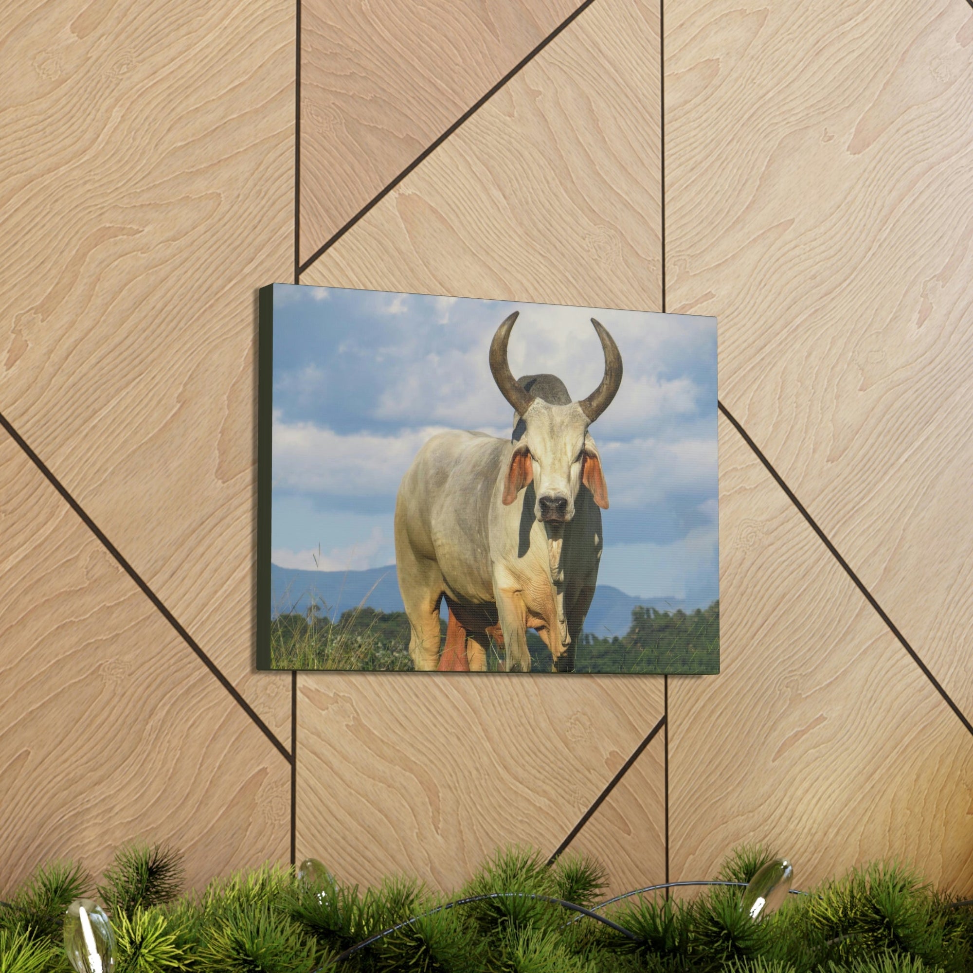 Scripture Walls Majestic Zebu Art Majestic Zebu Print Animal Wall Art Wildlife Canvas Prints Wall Art Ready to Hang Unframed-Express Your Love Gifts