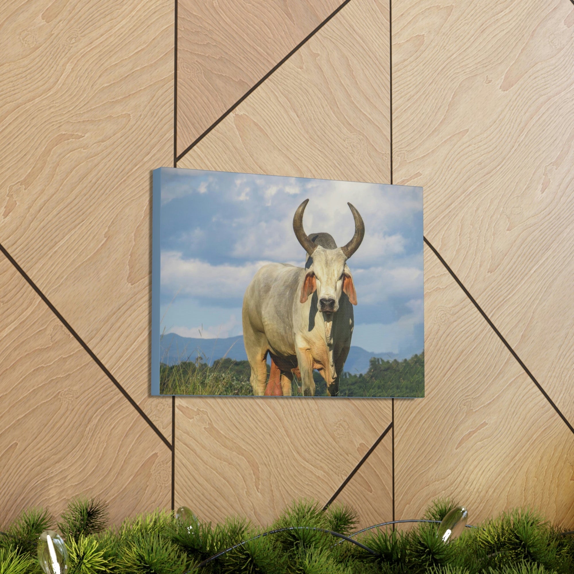 Scripture Walls Majestic Zebu Print Zebu Animal Wall Art Wildlife Canvas Prints Wall Art Ready to Hang Unframed-Express Your Love Gifts