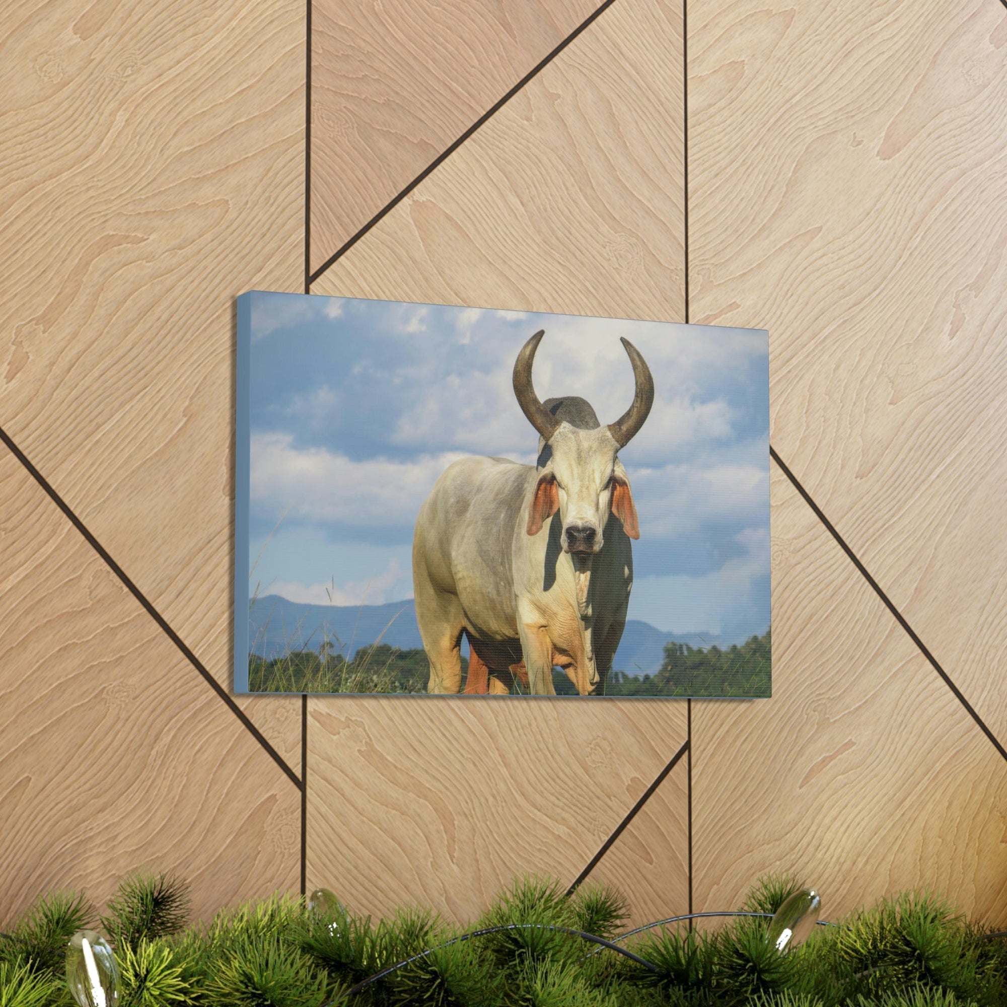 Scripture Walls Majestic Zebu Print Zebu Animal Wall Art Wildlife Canvas Prints Wall Art Ready to Hang Unframed-Express Your Love Gifts