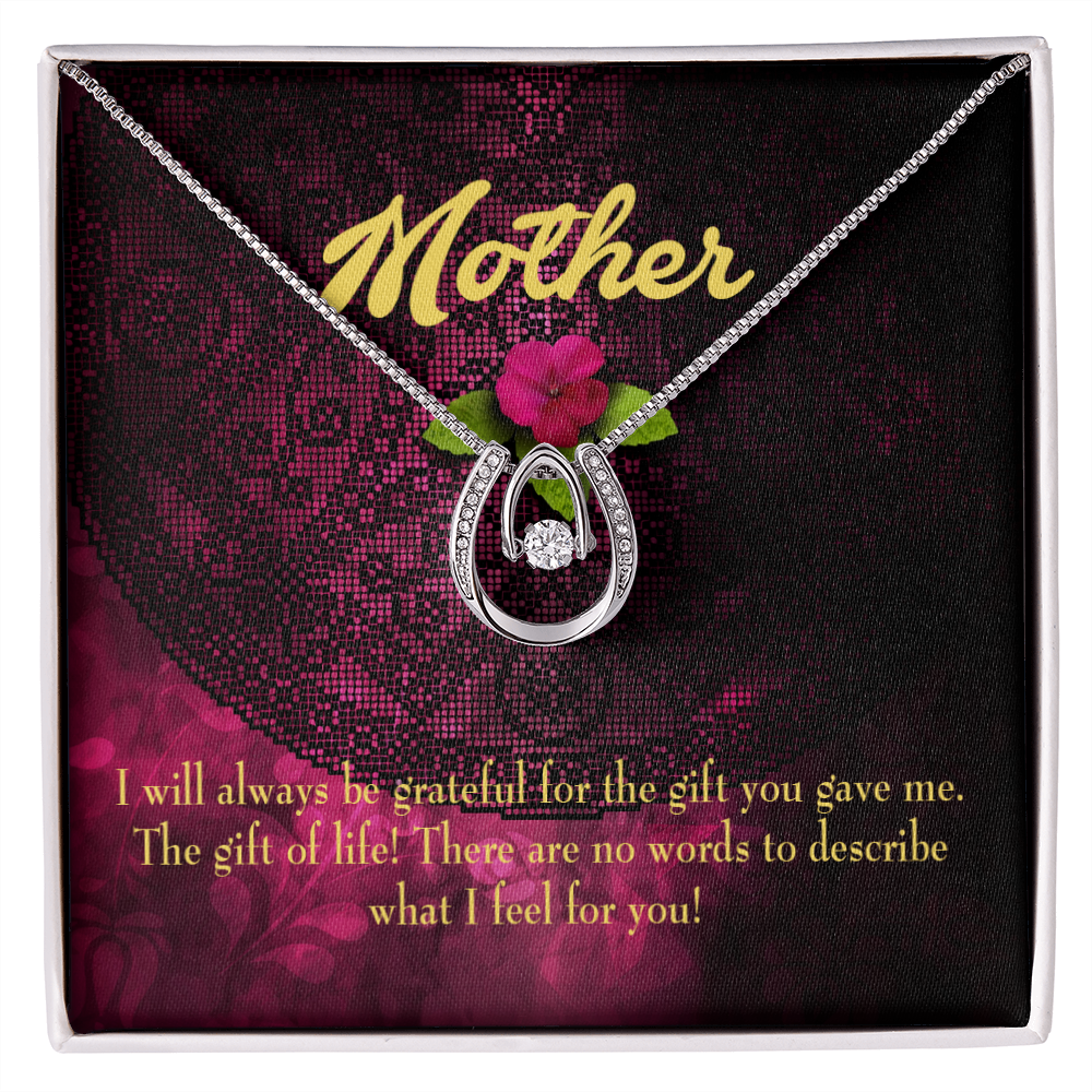 Mother Gift of Life Lucky Horseshoe Necklace Message Card 14k w CZ Crystals-Express Your Love Gifts