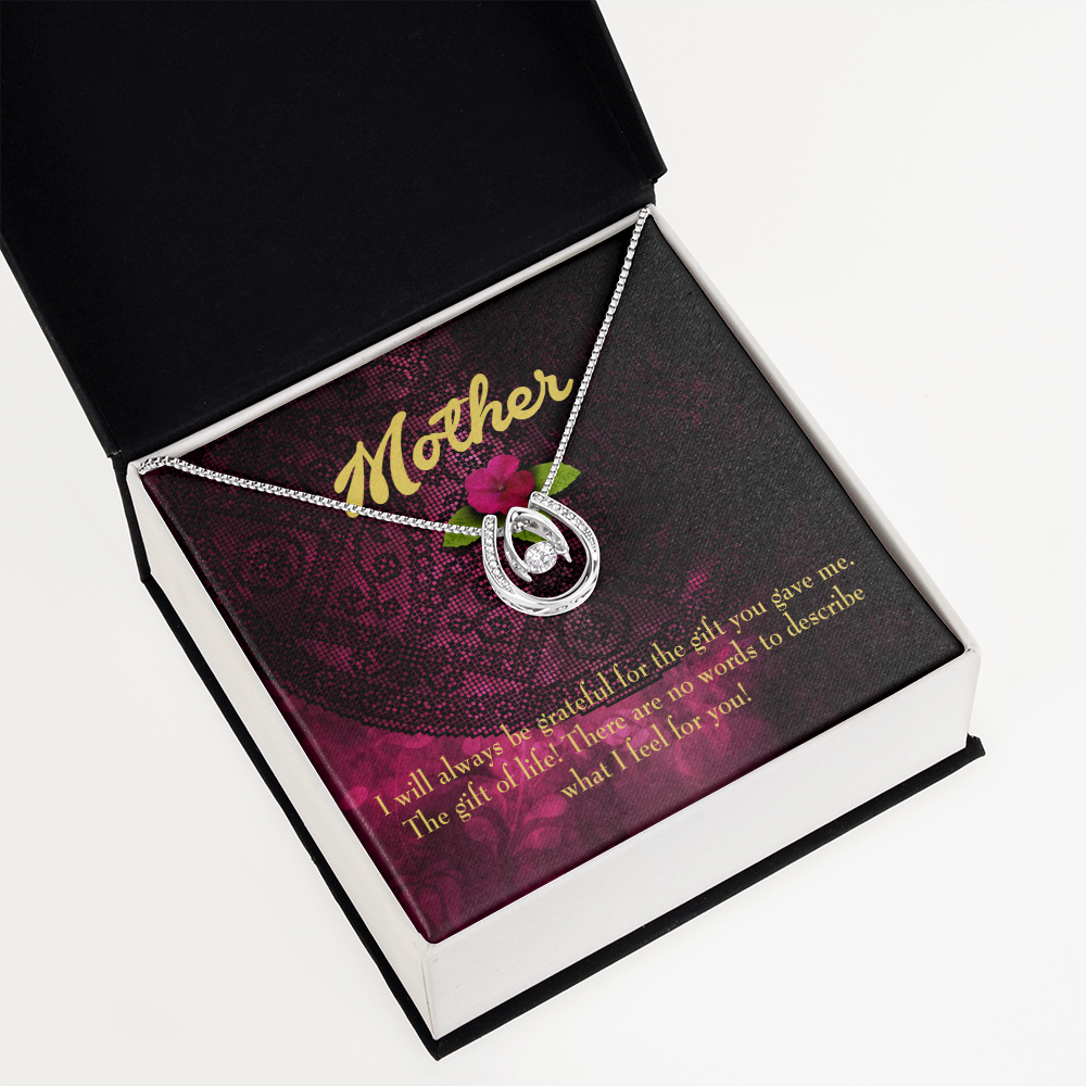 Mother Gift of Life Lucky Horseshoe Necklace Message Card 14k w CZ Crystals-Express Your Love Gifts