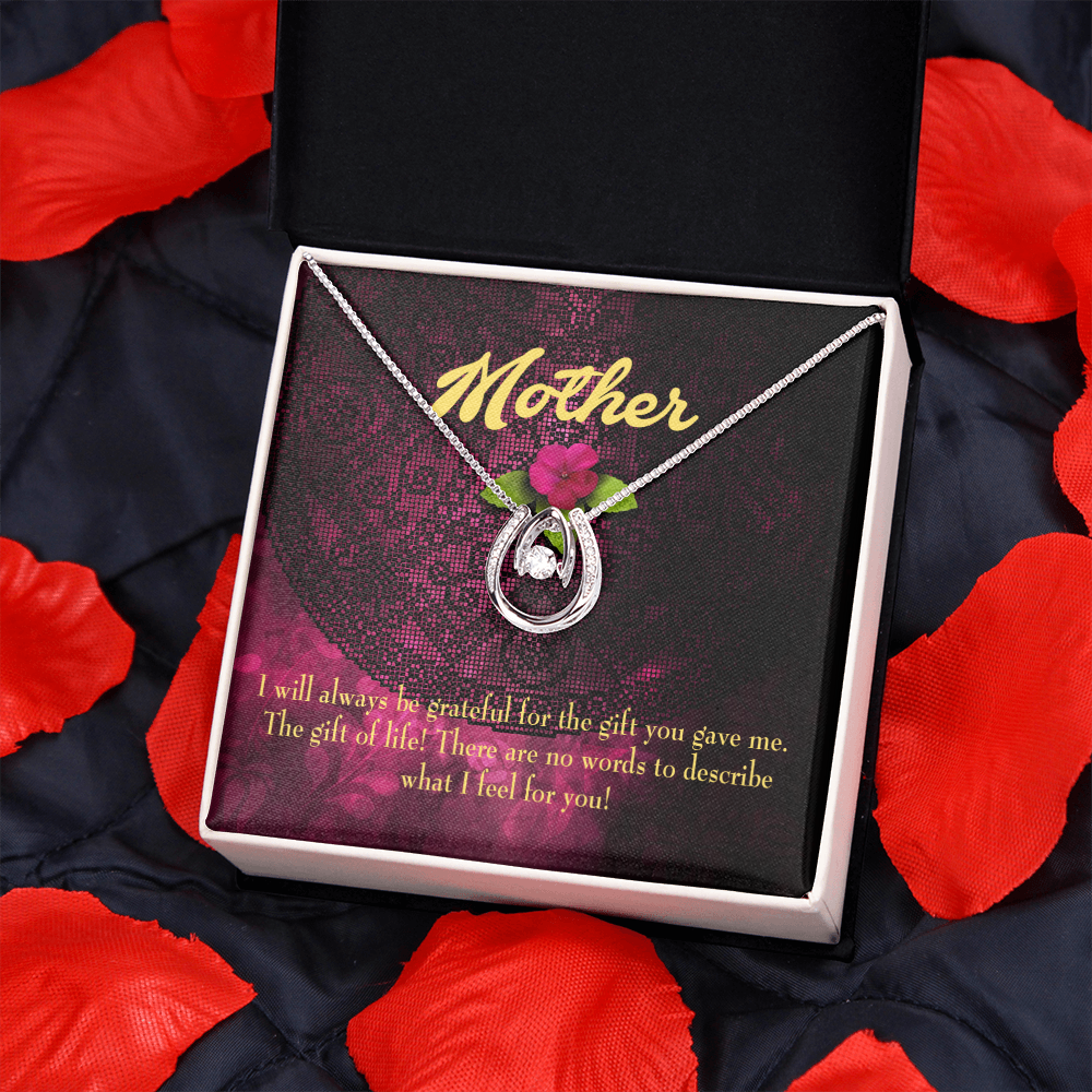 Mother Gift of Life Lucky Horseshoe Necklace Message Card 14k w CZ Crystals-Express Your Love Gifts