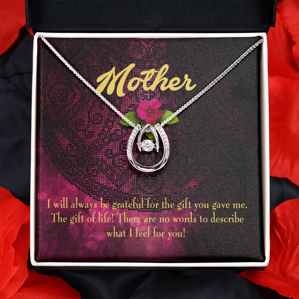 Mother Gift of Life Lucky Horseshoe Necklace Message Card 14k w CZ Crystals-Express Your Love Gifts