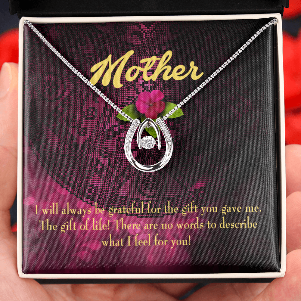 Mother Gift of Life Lucky Horseshoe Necklace Message Card 14k w CZ Crystals-Express Your Love Gifts