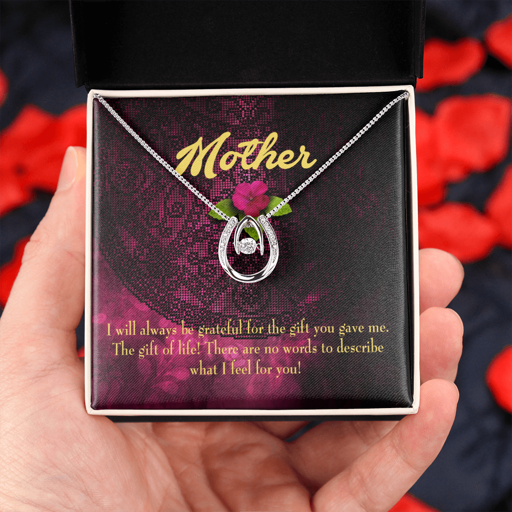 Mother Gift of Life Lucky Horseshoe Necklace Message Card 14k w CZ Crystals-Express Your Love Gifts