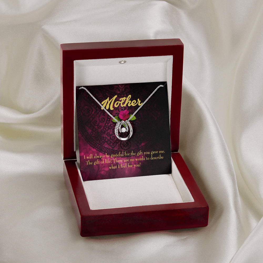 Mother Gift of Life Lucky Horseshoe Necklace Message Card 14k w CZ Crystals-Express Your Love Gifts