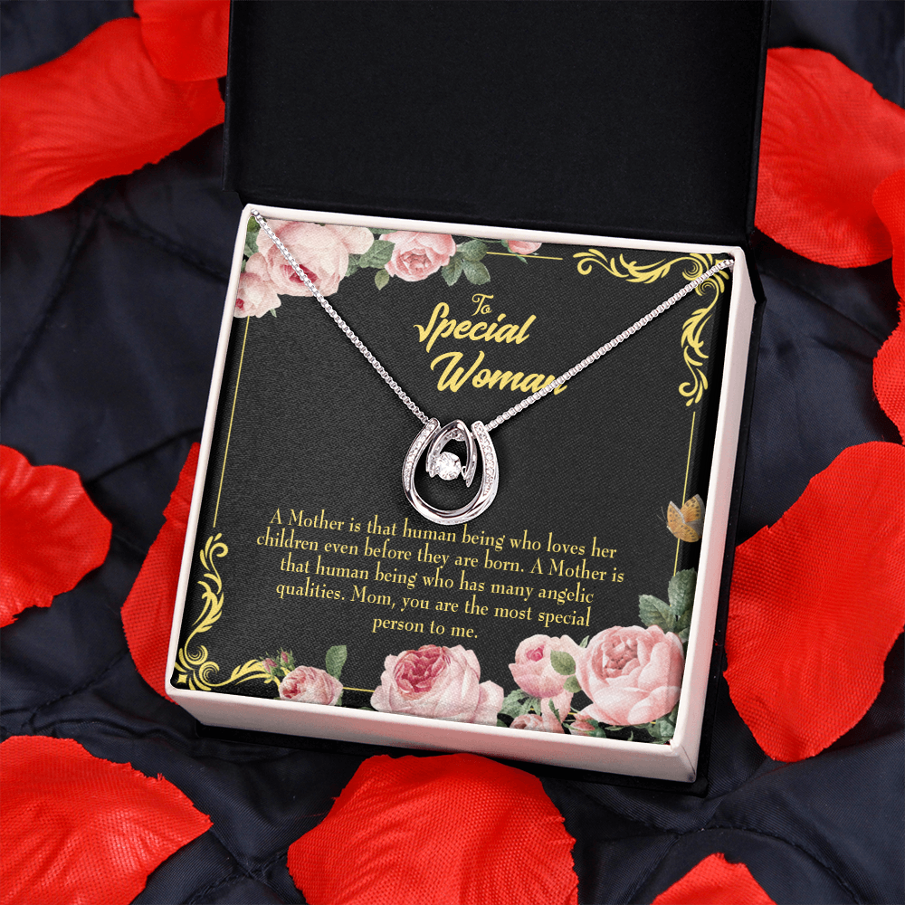 Mother is Human Lucky Horseshoe Necklace Message Card 14k w CZ Crystals-Express Your Love Gifts