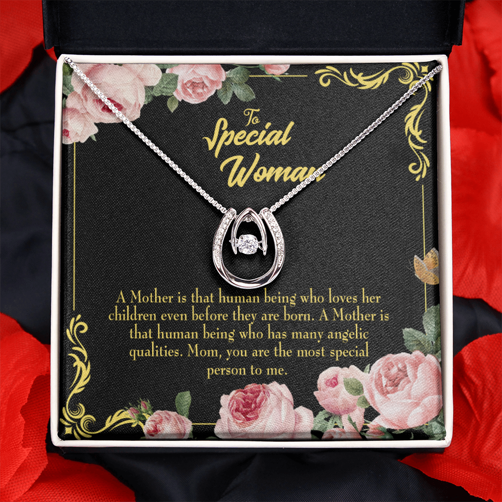 Mother is Human Lucky Horseshoe Necklace Message Card 14k w CZ Crystals-Express Your Love Gifts