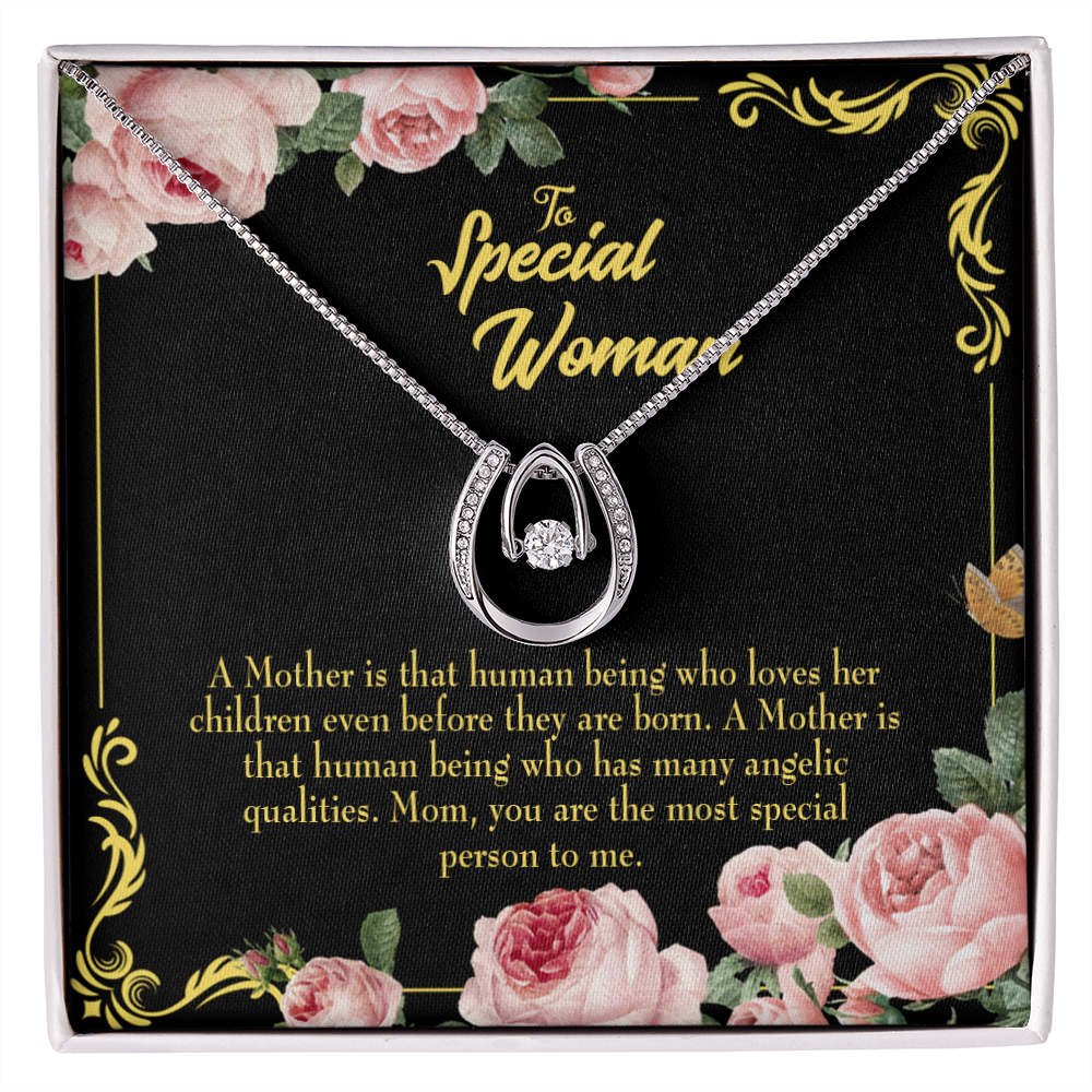 Mother is Human Lucky Horseshoe Necklace Message Card 14k w CZ Crystals-Express Your Love Gifts