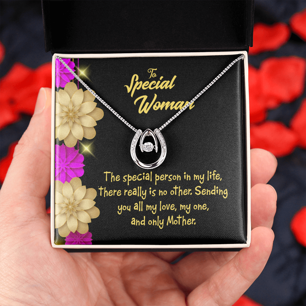 Mother is Special Lucky Horseshoe Necklace Message Card 14k w CZ Crystals-Express Your Love Gifts