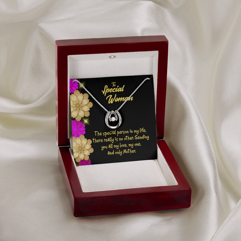 Mother is Special Lucky Horseshoe Necklace Message Card 14k w CZ Crystals-Express Your Love Gifts