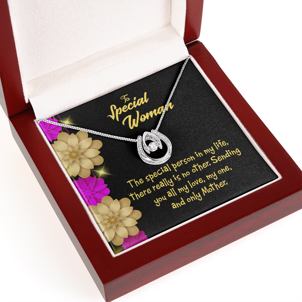 Mother is Special Lucky Horseshoe Necklace Message Card 14k w CZ Crystals-Express Your Love Gifts