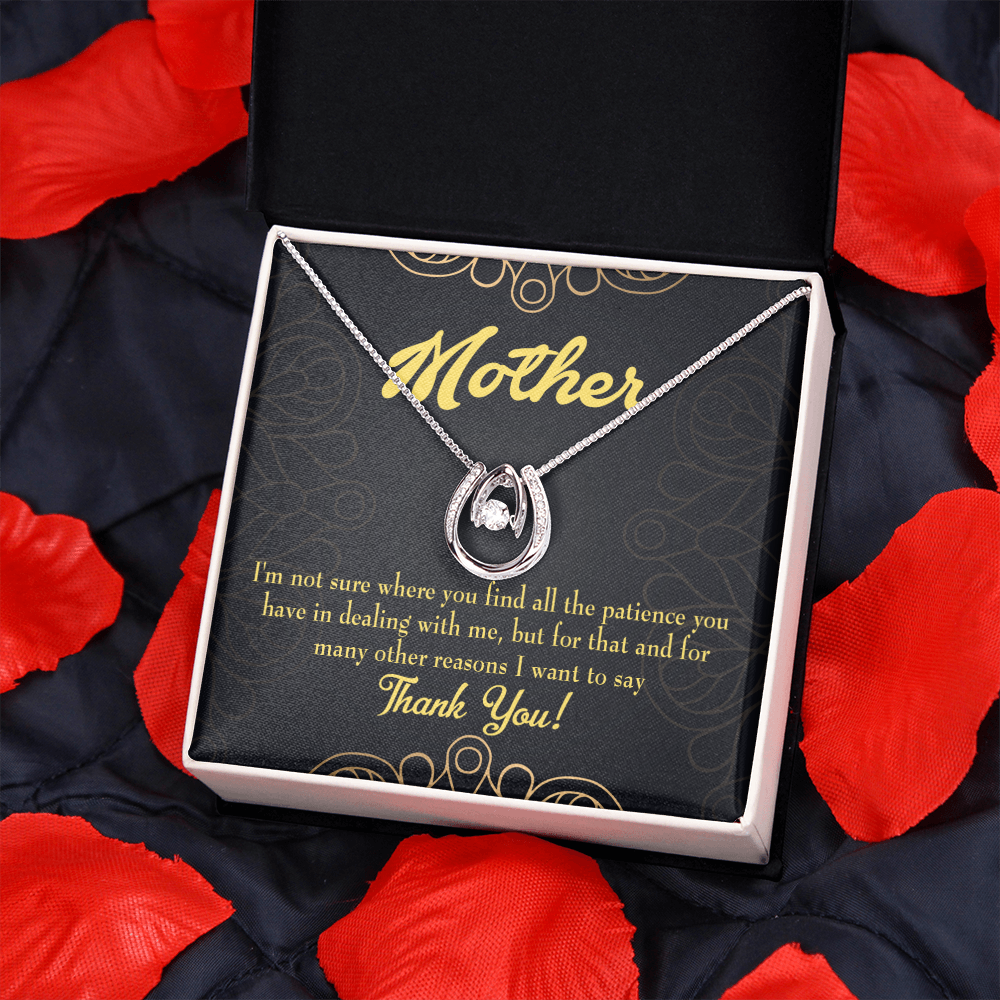 Mother Patience Lucky Horseshoe Necklace Message Card 14k w CZ Crystals-Express Your Love Gifts