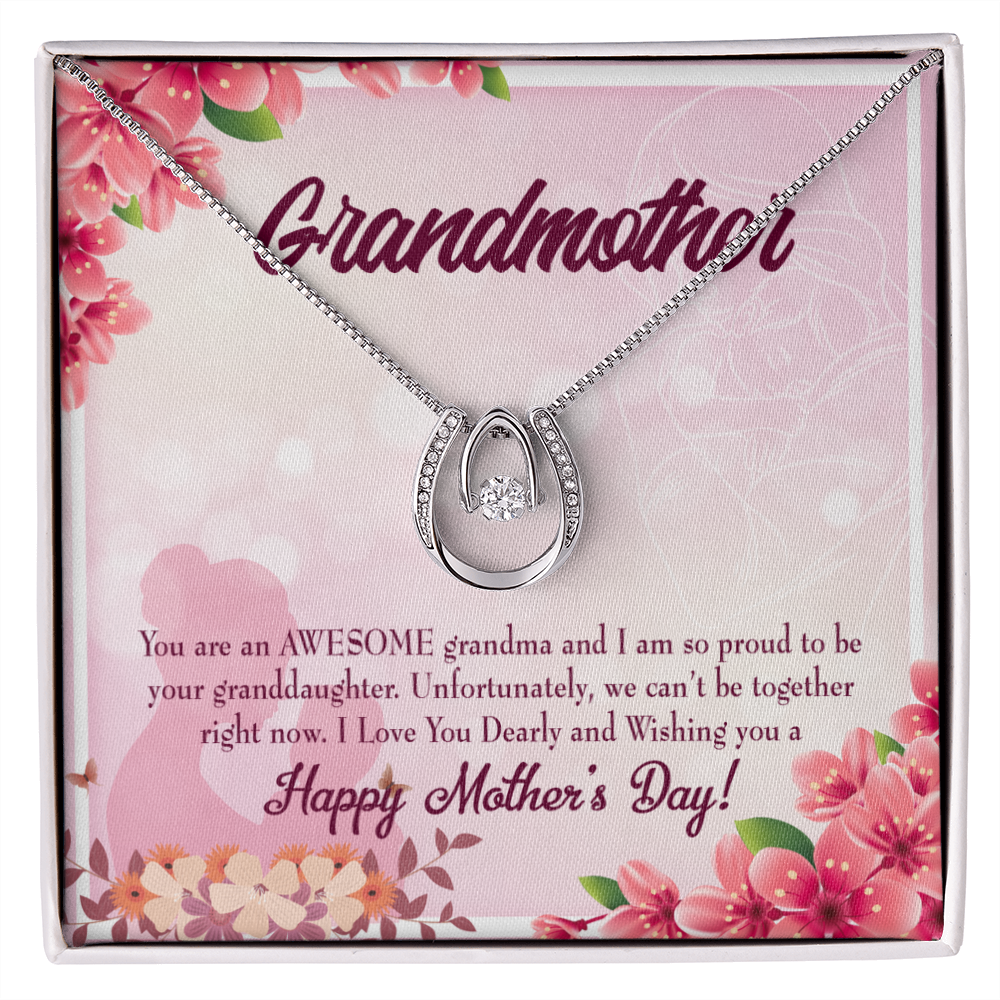 Mothers Day Gift from Granddaughter Lucky Horseshoe Necklace Message Card 14k w CZ Crystals-Express Your Love Gifts