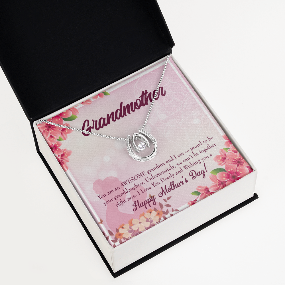 Mothers Day Gift from Granddaughter Lucky Horseshoe Necklace Message Card 14k w CZ Crystals-Express Your Love Gifts