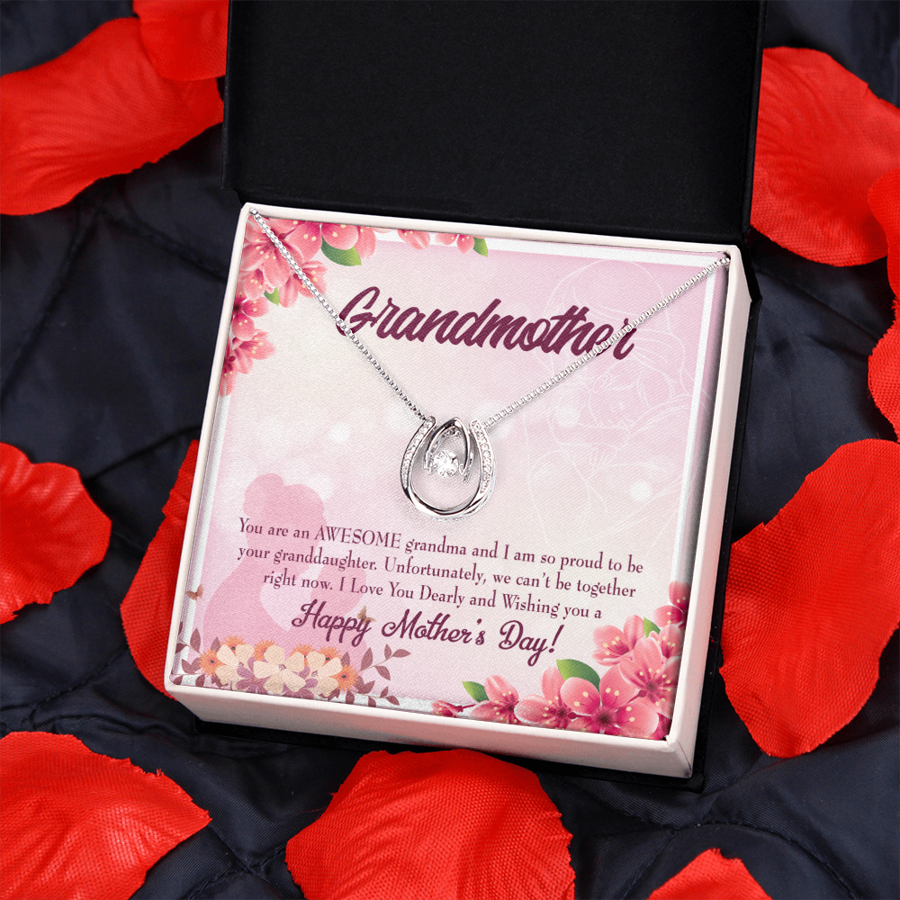 Mothers Day Gift from Granddaughter Lucky Horseshoe Necklace Message Card 14k w CZ Crystals-Express Your Love Gifts