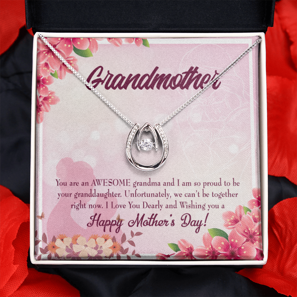 Mothers Day Gift from Granddaughter Lucky Horseshoe Necklace Message Card 14k w CZ Crystals-Express Your Love Gifts