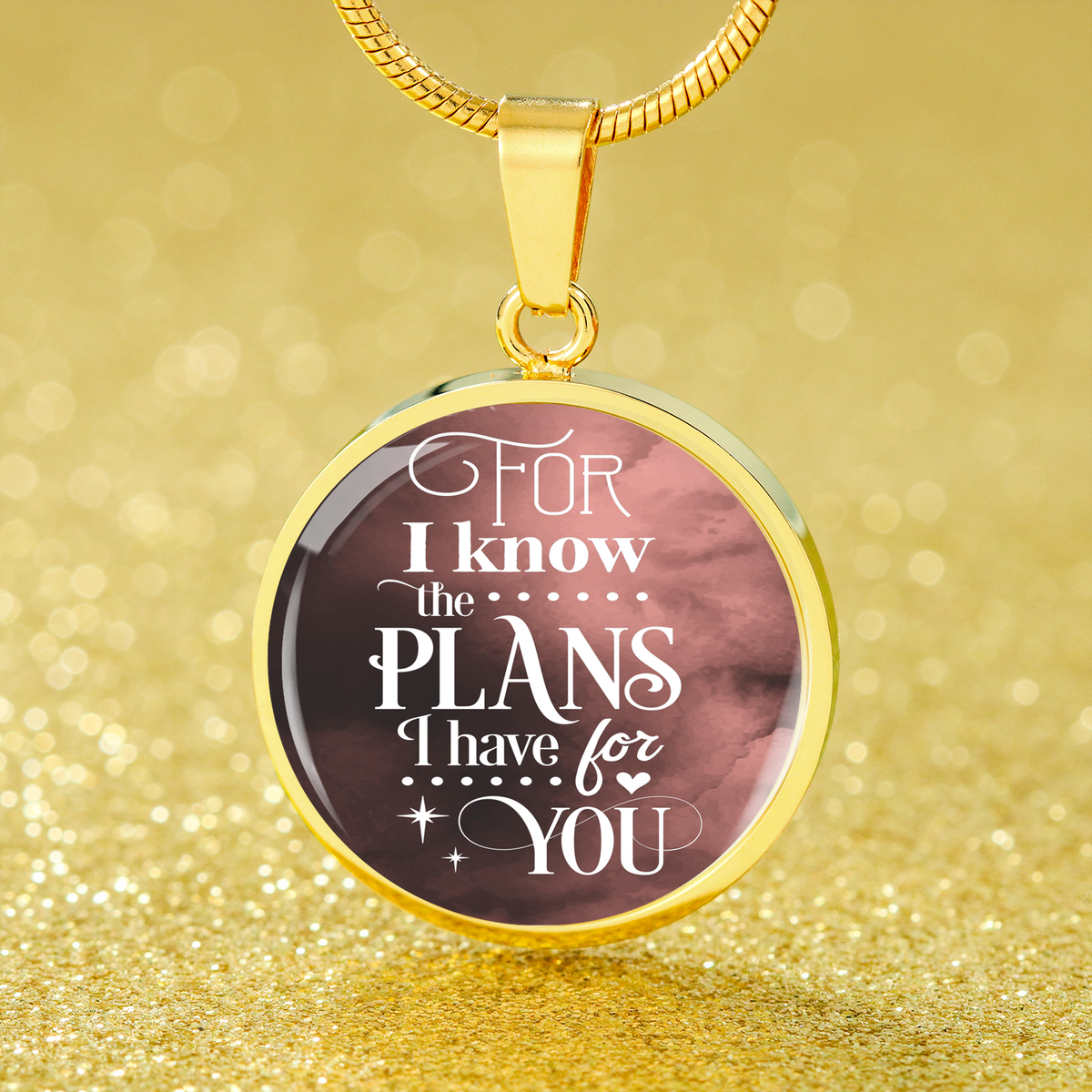 Plans I Have For You Jeremiah Circle Necklace Stainless Steel or 18k Gold 18-22"-Express Your Love Gifts