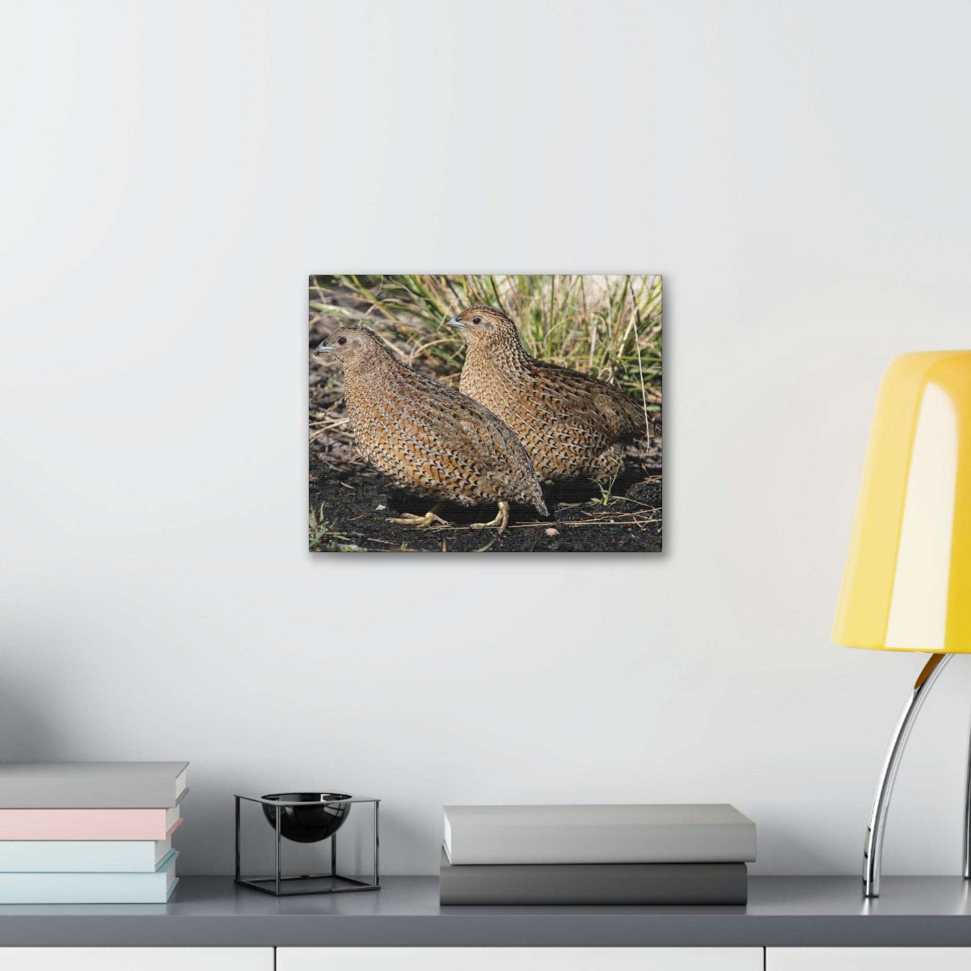 Scripture Walls Quail Couple Quail Couple Print Animal Wall Art Wildlife Canvas Prints Wall Art Ready to Hang Unframed-Express Your Love Gifts