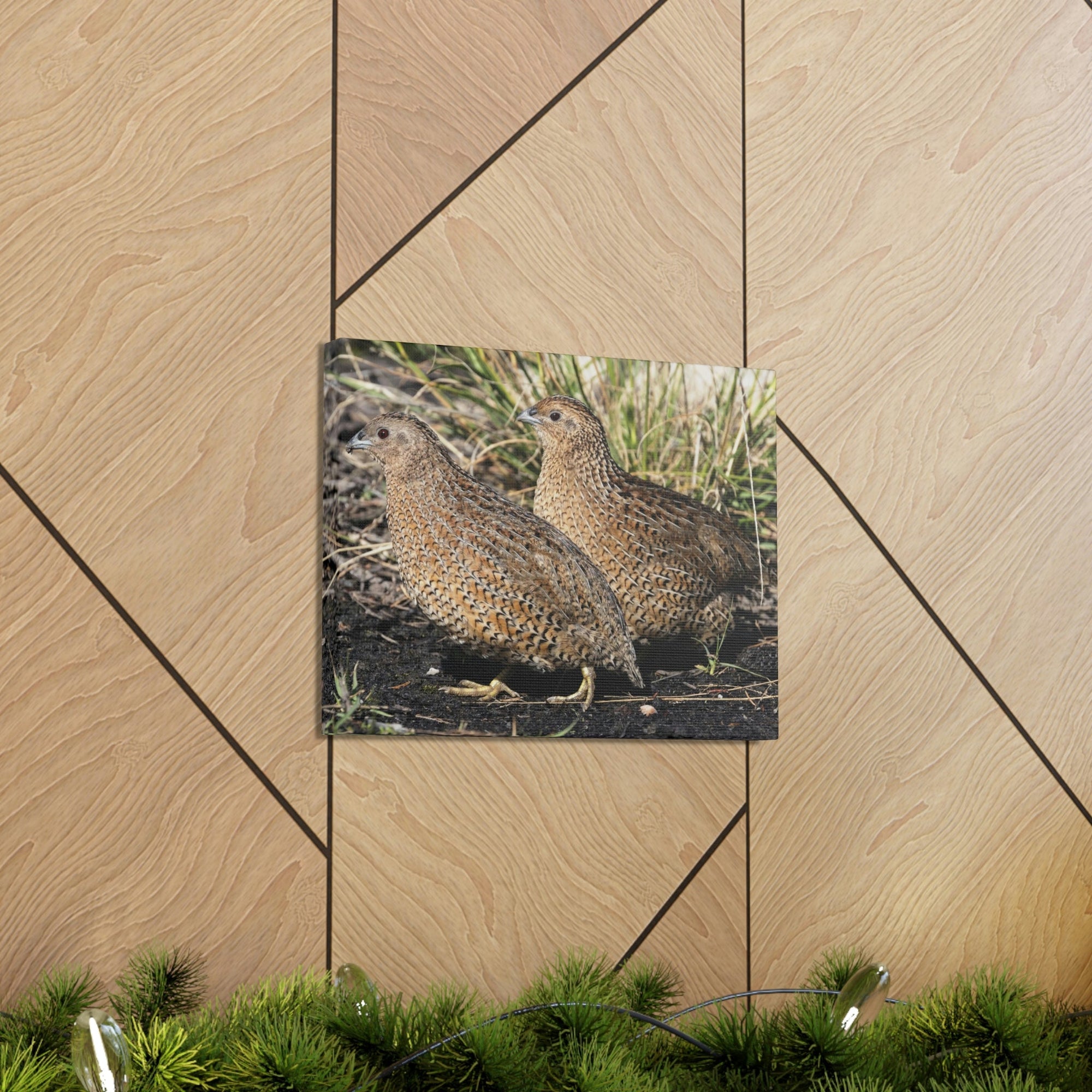 Scripture Walls Quail Couple Quail Couple Print Animal Wall Art Wildlife Canvas Prints Wall Art Ready to Hang Unframed-Express Your Love Gifts