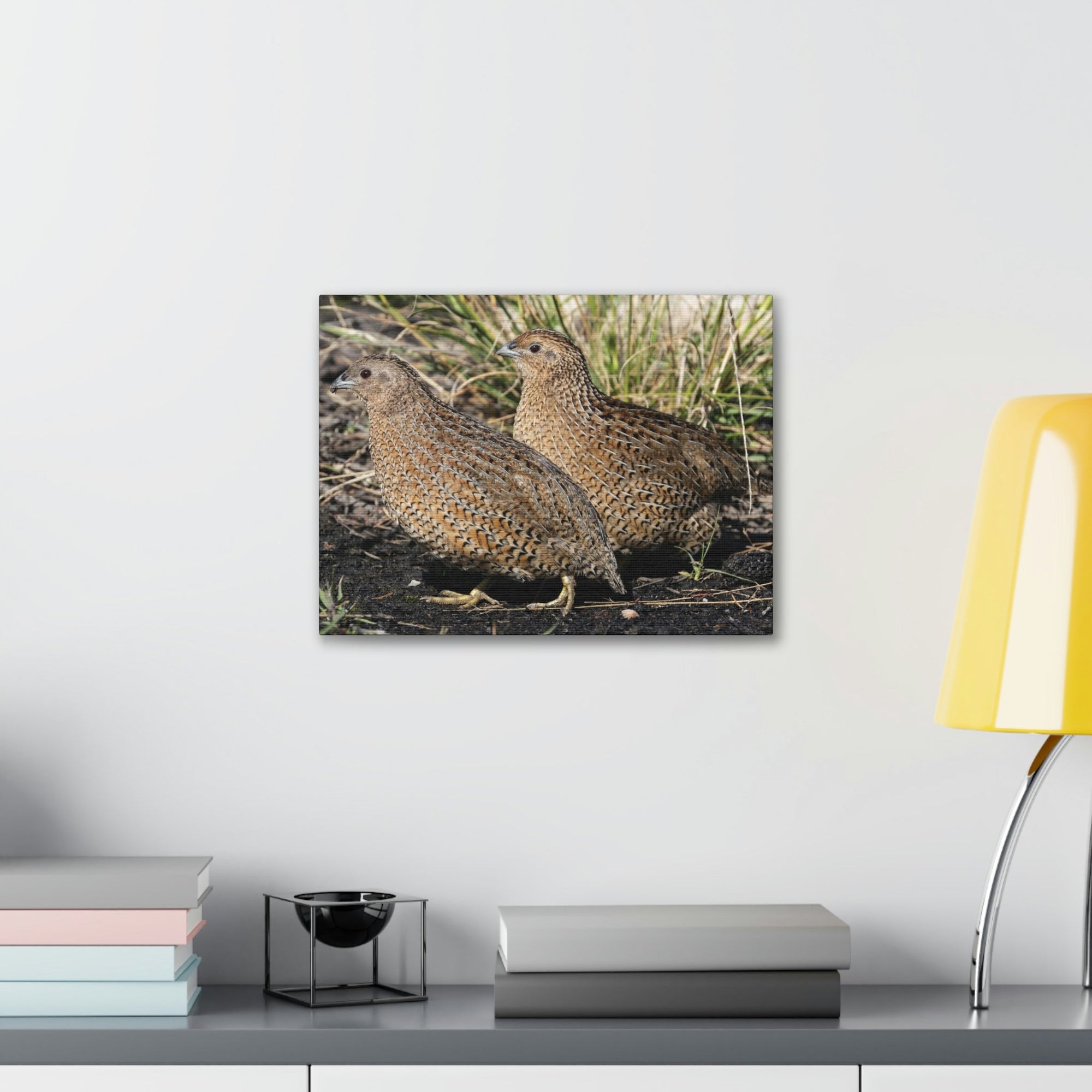 Scripture Walls Quail Couple Quail Couple Print Animal Wall Art Wildlife Canvas Prints Wall Art Ready to Hang Unframed-Express Your Love Gifts