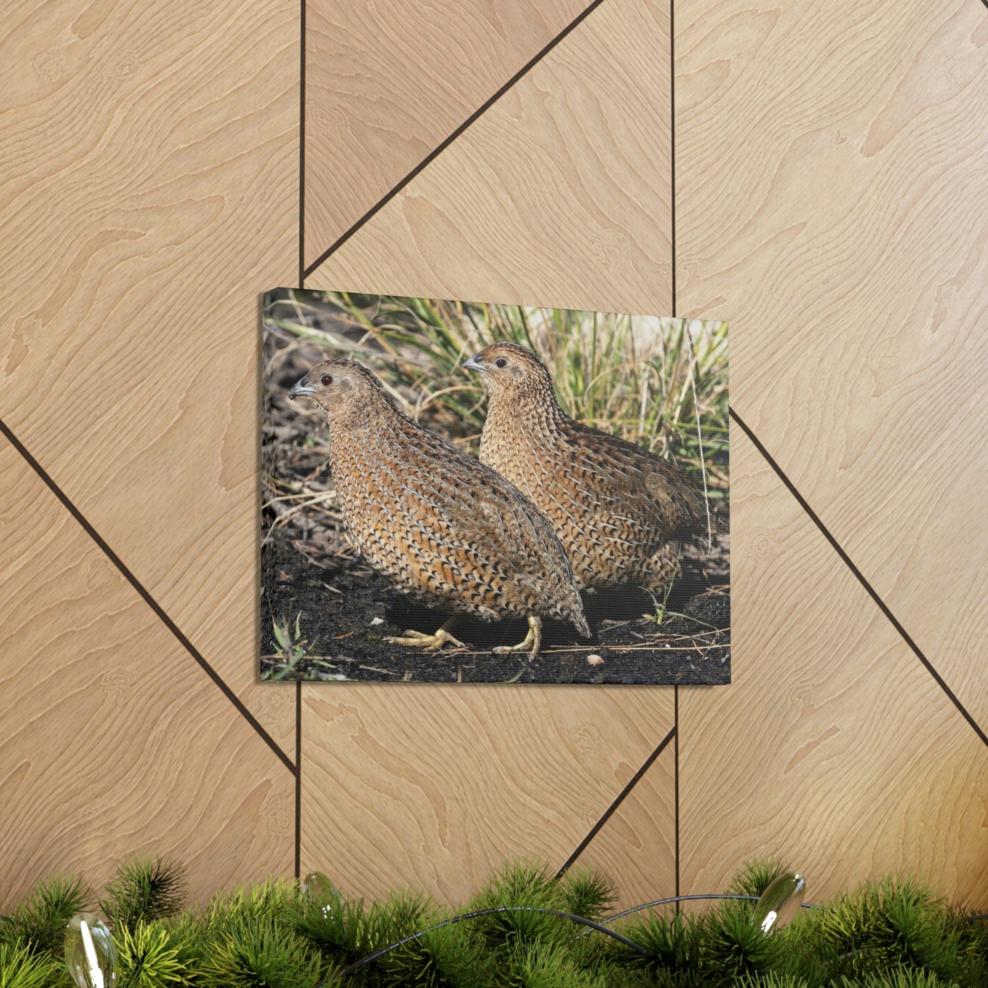 Scripture Walls Quail Couple Quail Couple Print Animal Wall Art Wildlife Canvas Prints Wall Art Ready to Hang Unframed-Express Your Love Gifts