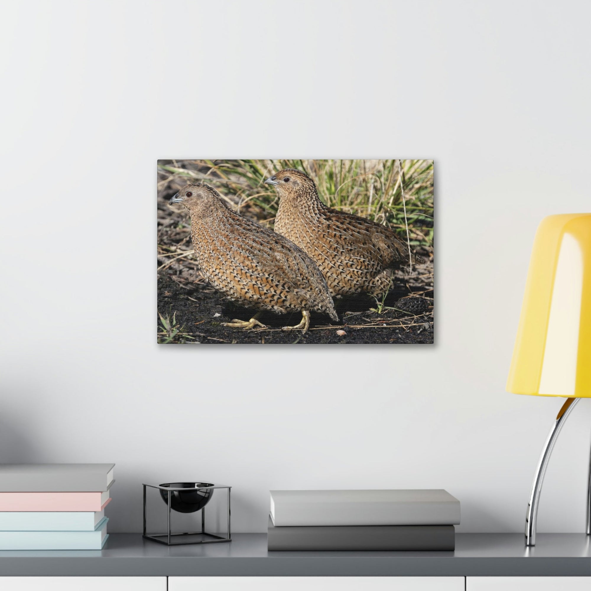 Scripture Walls Quail Couple Quail Couple Print Animal Wall Art Wildlife Canvas Prints Wall Art Ready to Hang Unframed-Express Your Love Gifts