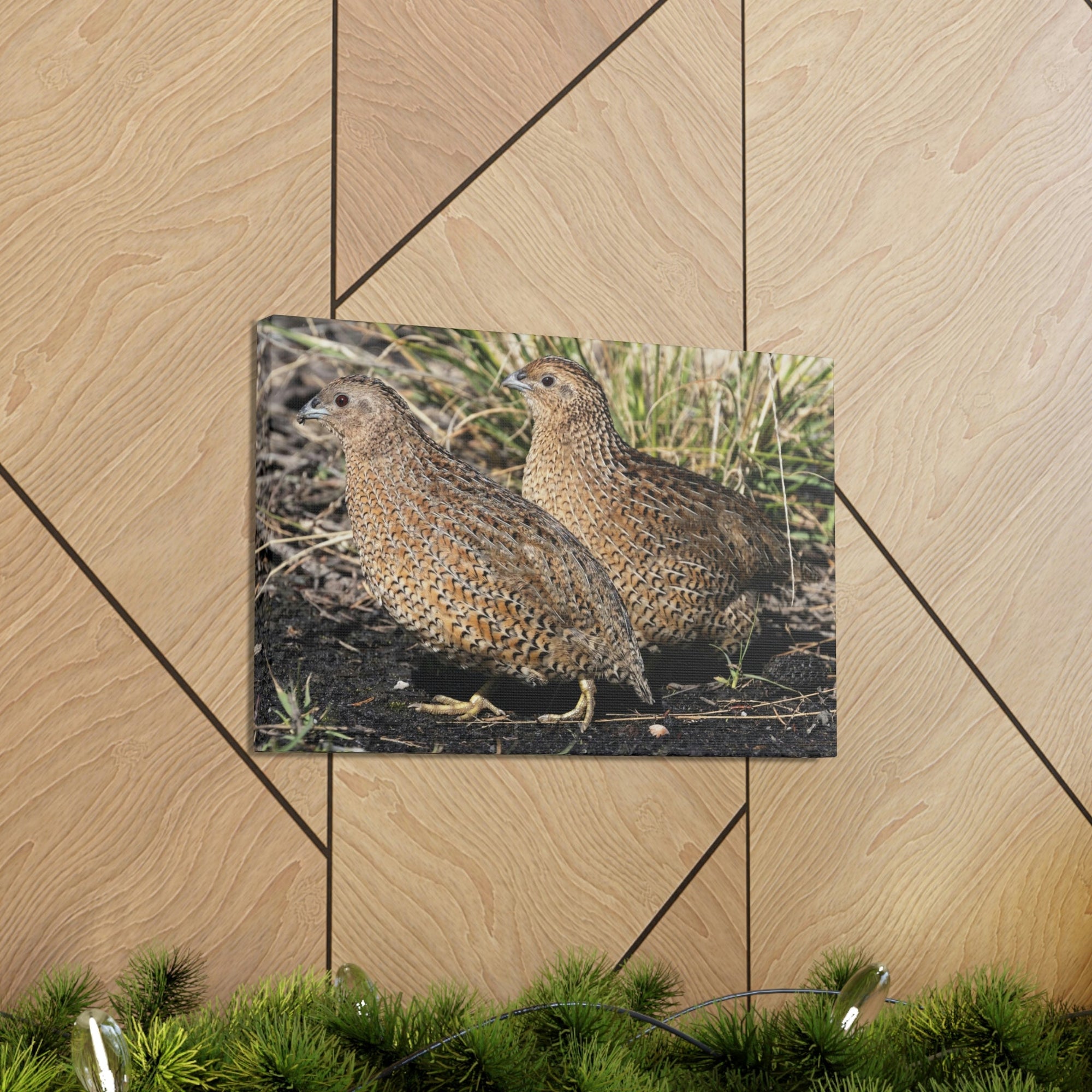 Scripture Walls Quail Couple Quail Couple Print Animal Wall Art Wildlife Canvas Prints Wall Art Ready to Hang Unframed-Express Your Love Gifts