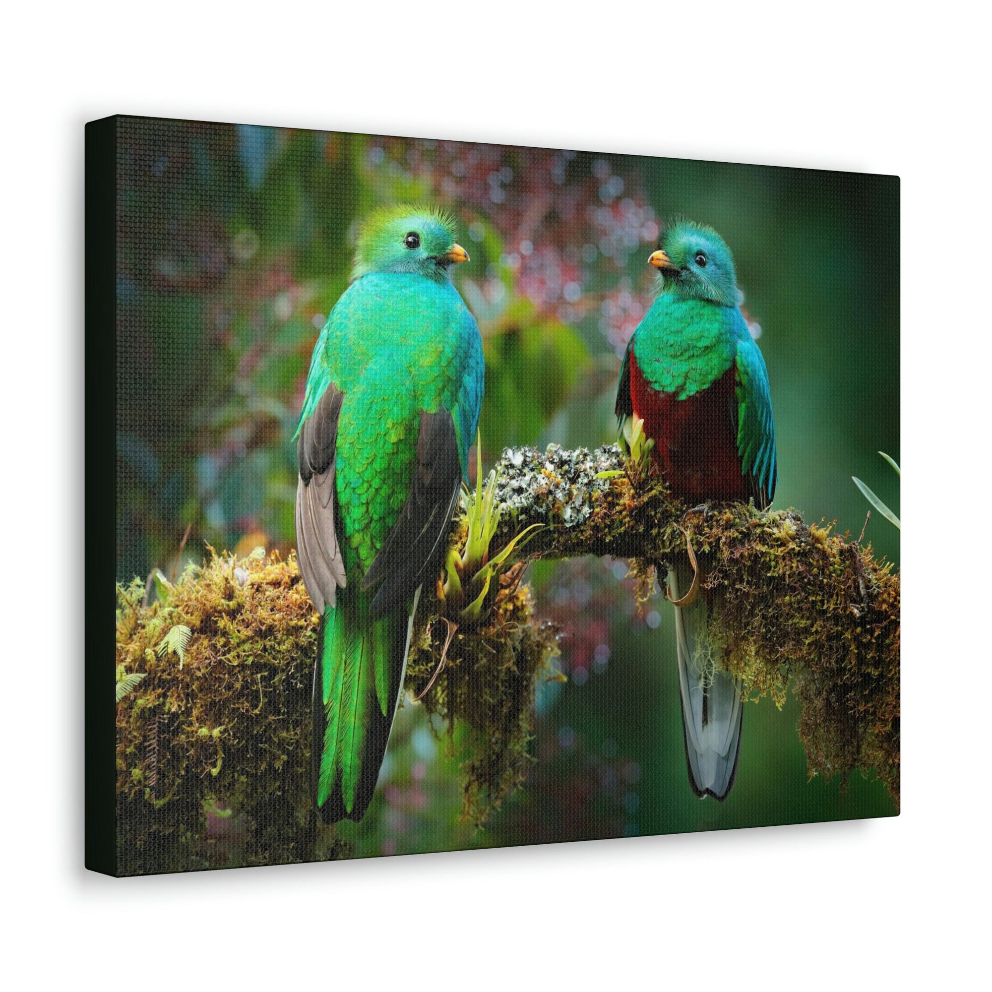 Scripture Walls Quetzal Couple Quetzal Couple Print Animal Wall Art Wildlife Canvas Prints Wall Art Ready to Hang Unframed-Express Your Love Gifts