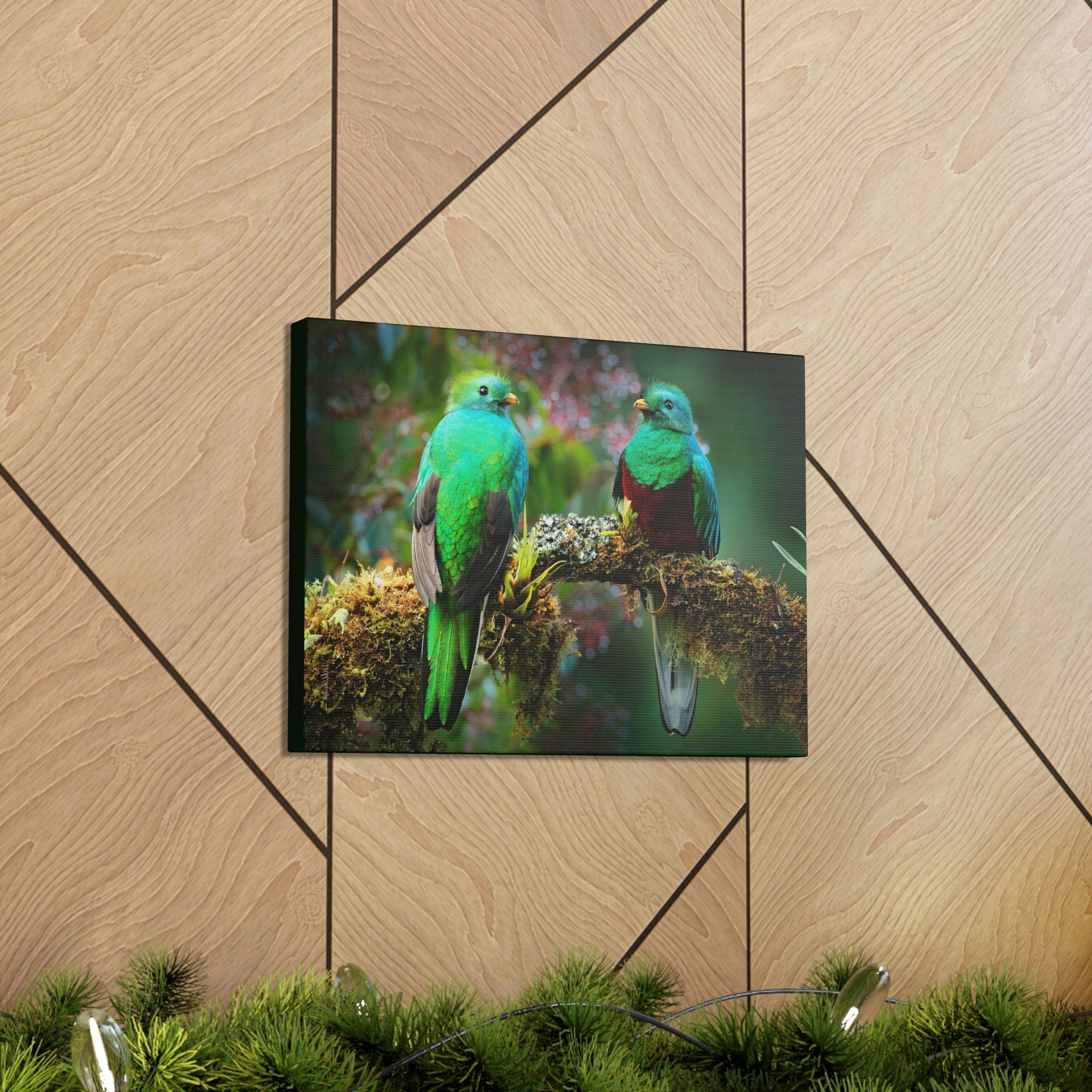 Scripture Walls Quetzal Couple Quetzal Couple Print Animal Wall Art Wildlife Canvas Prints Wall Art Ready to Hang Unframed-Express Your Love Gifts