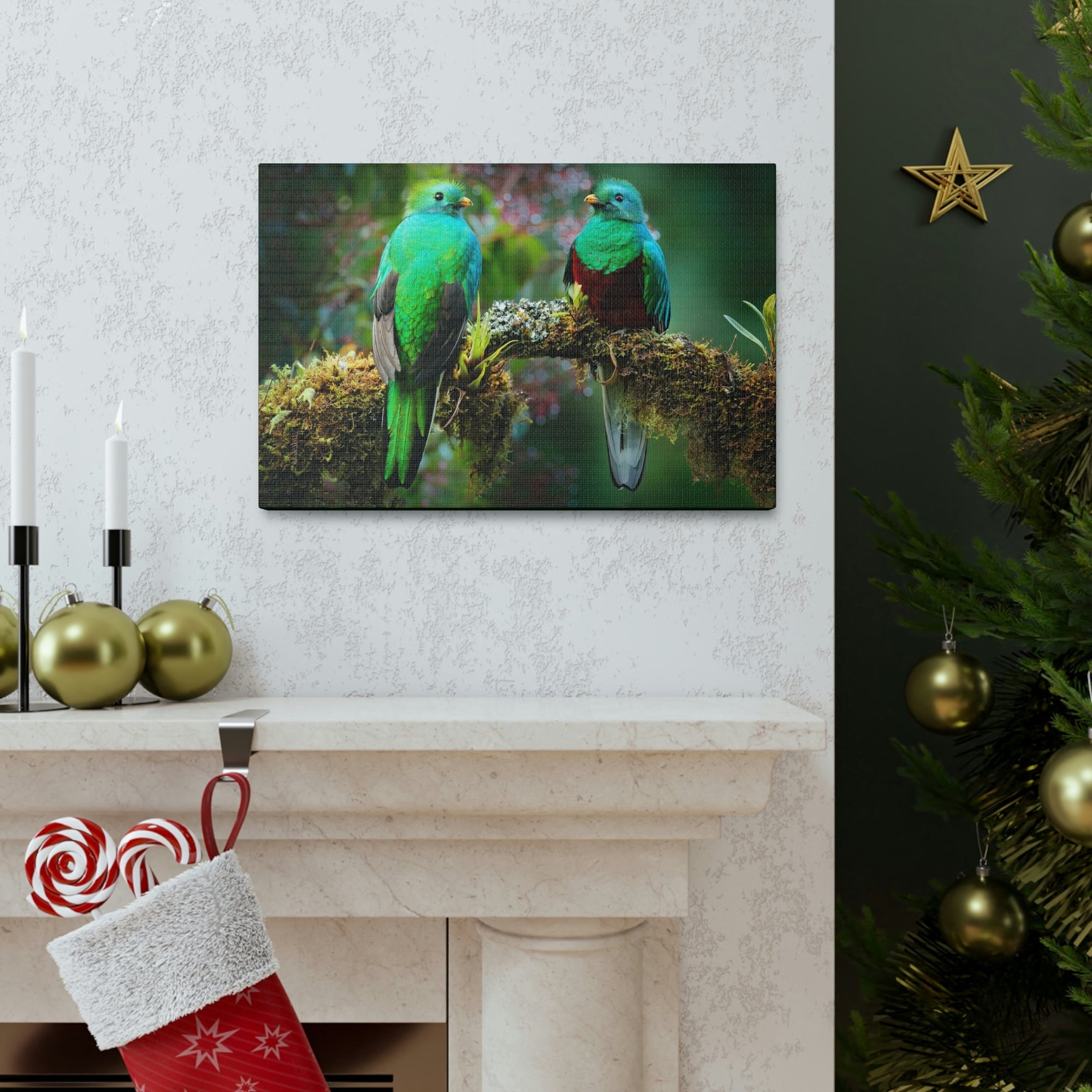 Scripture Walls Quetzal Couple Quetzal Couple Print Animal Wall Art Wildlife Canvas Prints Wall Art Ready to Hang Unframed-Express Your Love Gifts