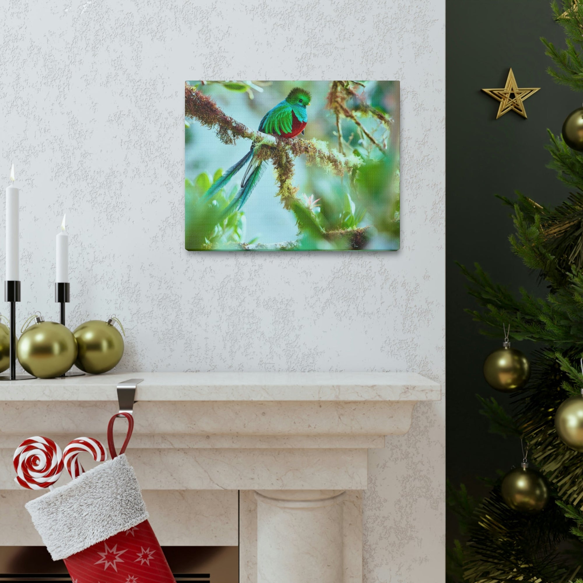 Scripture Walls Quetzal Hunting Quetzal on Hunt Print Animal Wall Art Wildlife Canvas Prints Wall Art Ready to Hang Unframed-Express Your Love Gifts