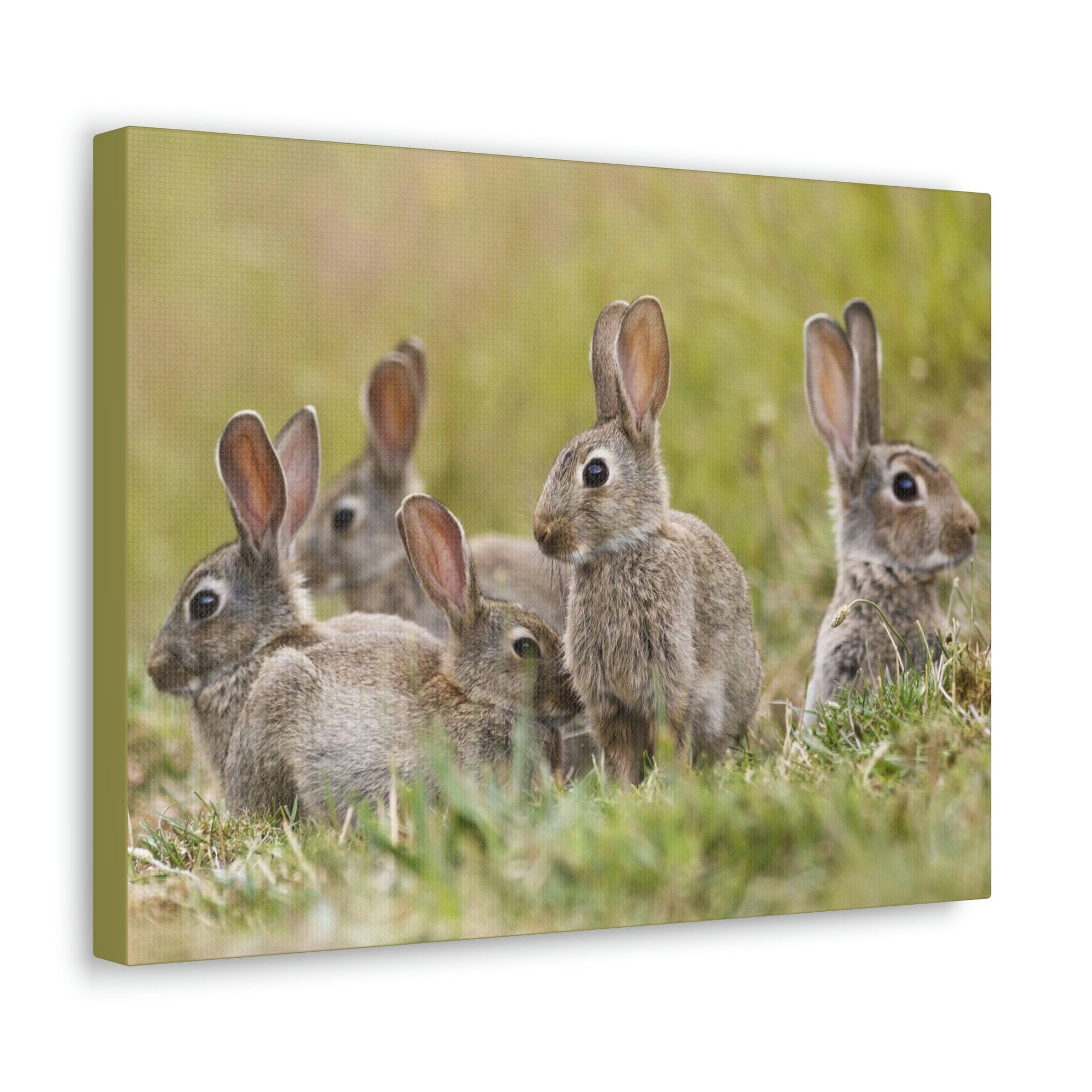 Scripture Walls Rabbit Group Rabbit Troop Print Animal Wall Art Wildlife Canvas Prints Wall Art Ready to Hang Unframed-Express Your Love Gifts