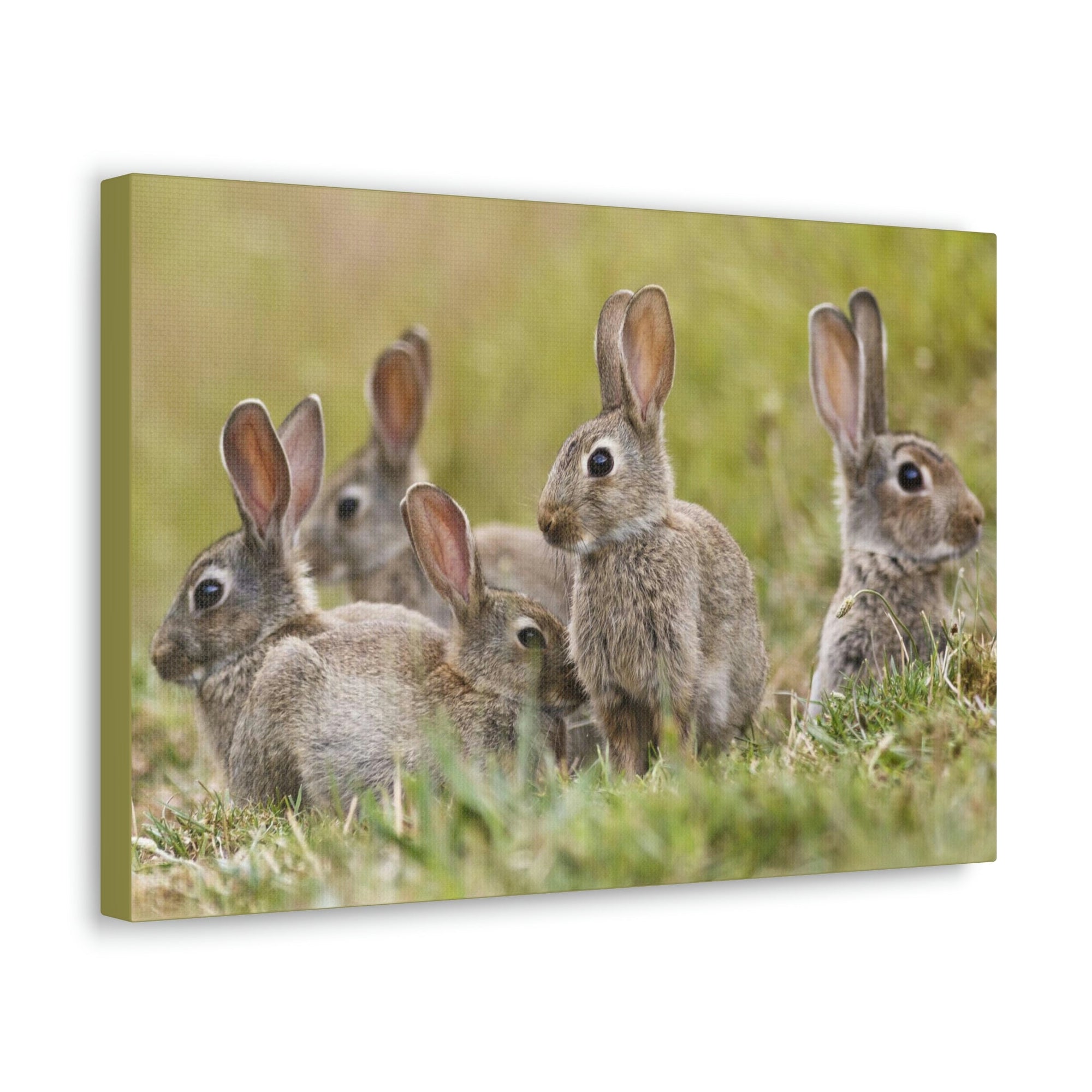 Scripture Walls Rabbit Group Rabbit Troop Print Animal Wall Art Wildlife Canvas Prints Wall Art Ready to Hang Unframed-Express Your Love Gifts