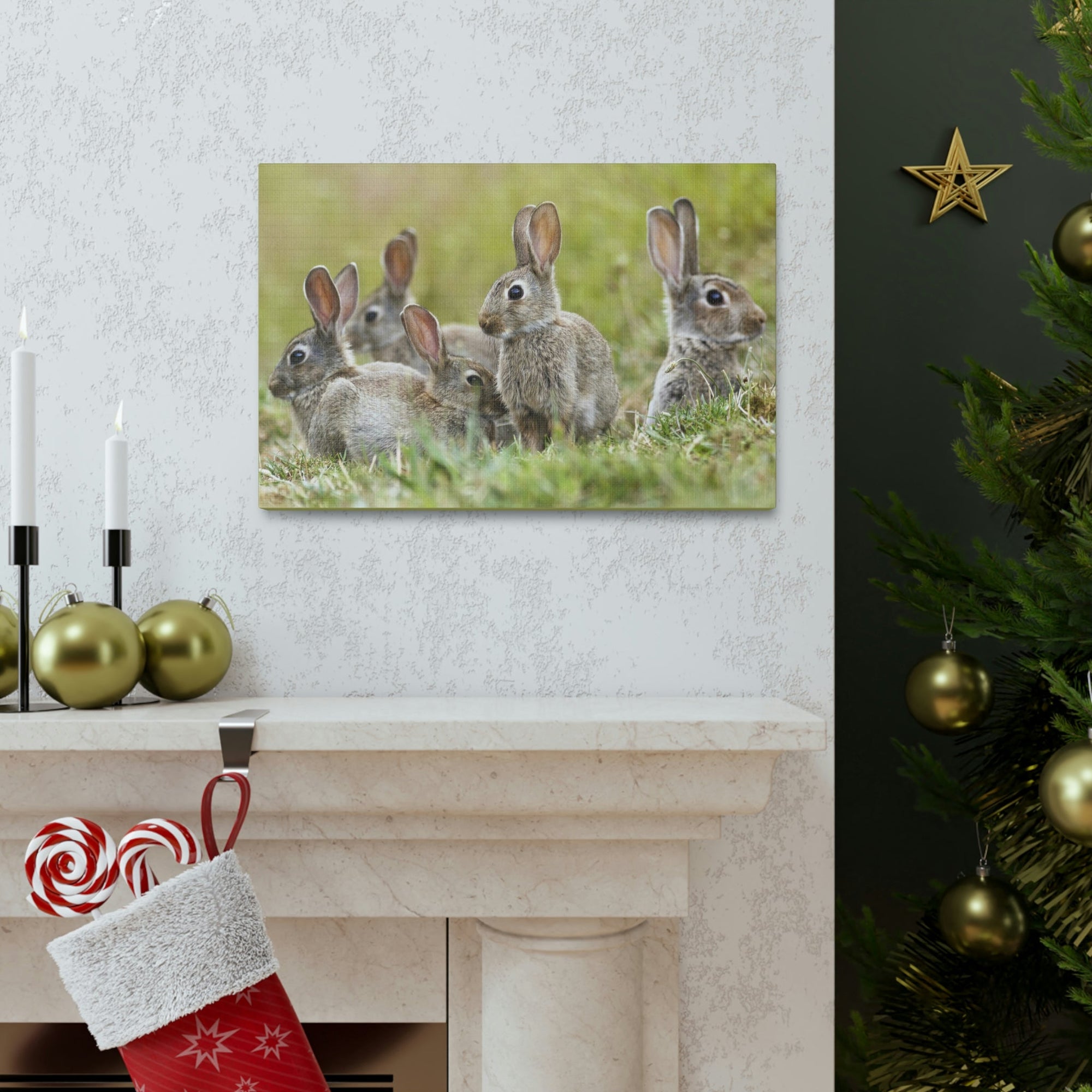 Scripture Walls Rabbit Group Rabbit Troop Print Animal Wall Art Wildlife Canvas Prints Wall Art Ready to Hang Unframed-Express Your Love Gifts