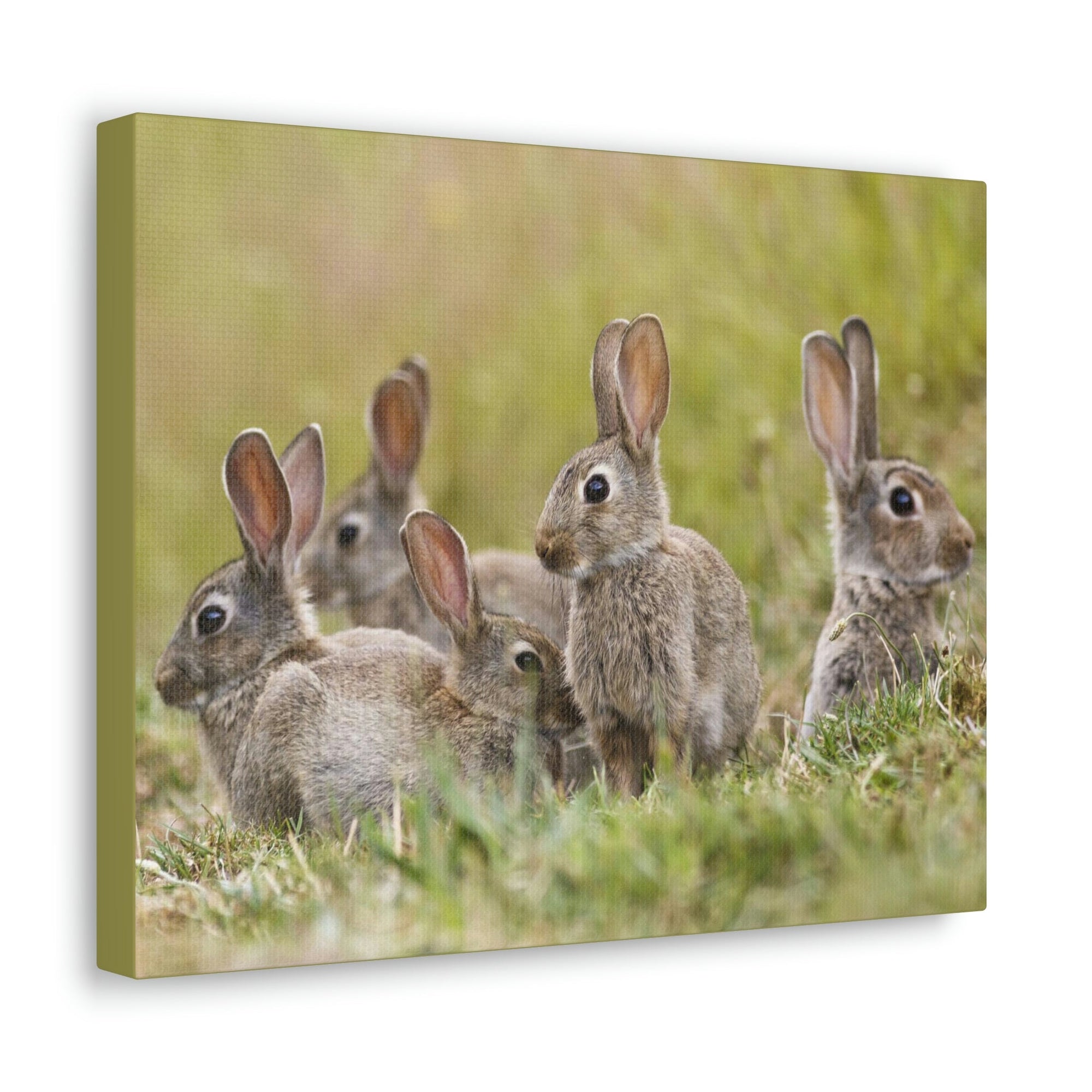 Scripture Walls Rabbit Group Rabbit Troop Print Animal Wall Art Wildlife Canvas Prints Wall Art Ready to Hang Unframed-Express Your Love Gifts