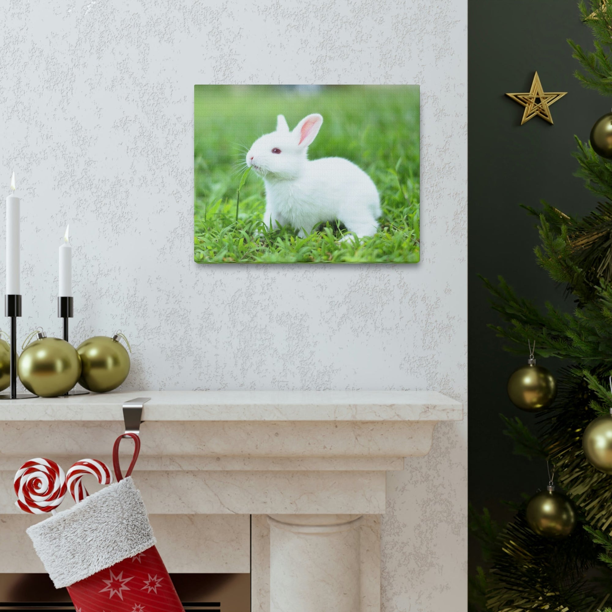 Scripture Walls Rabbit Hunting Rabbit on Hunt Print Animal Wall Art Wildlife Canvas Prints Wall Art Ready to Hang Unframed-Express Your Love Gifts