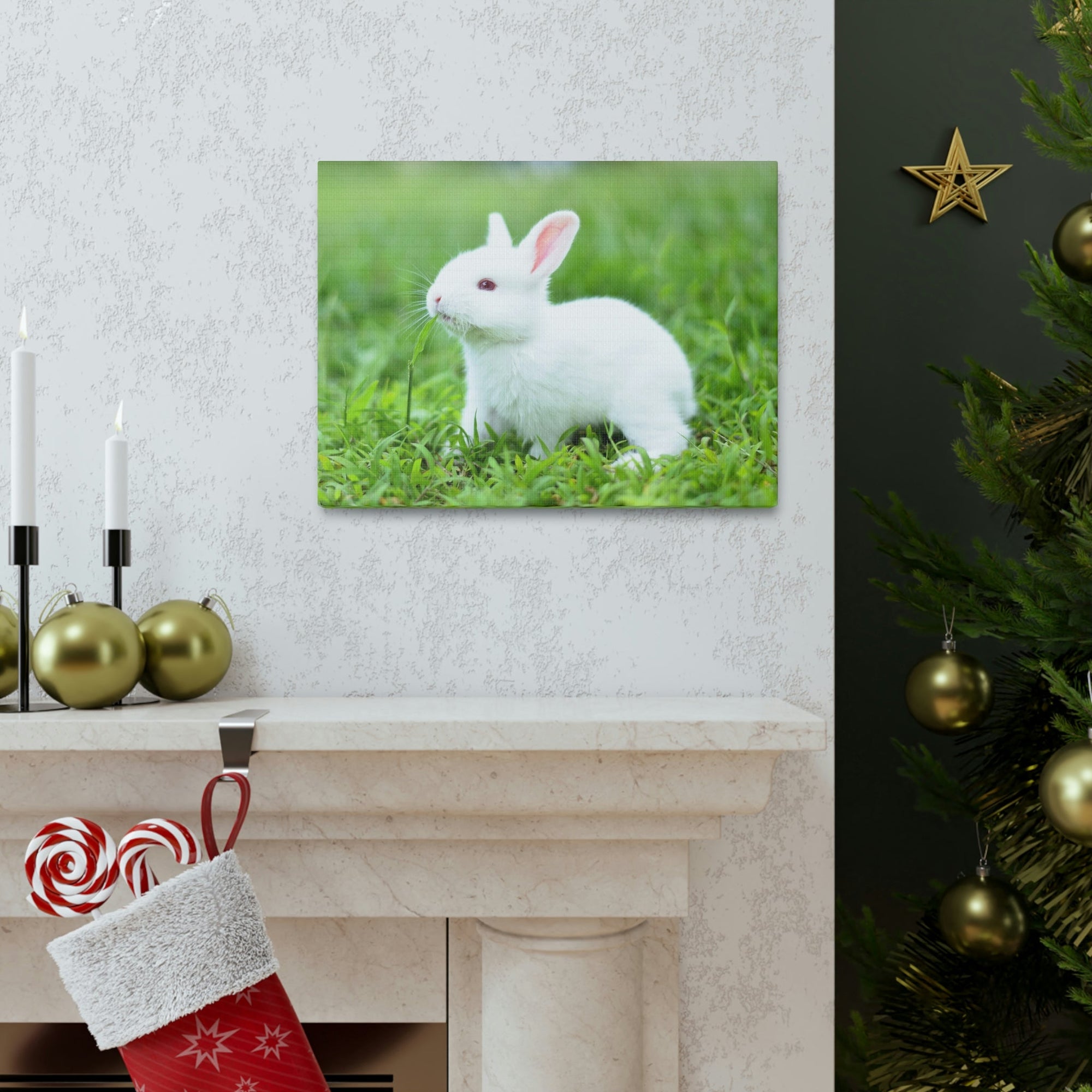 Scripture Walls Rabbit Hunting Rabbit on Hunt Print Animal Wall Art Wildlife Canvas Prints Wall Art Ready to Hang Unframed-Express Your Love Gifts